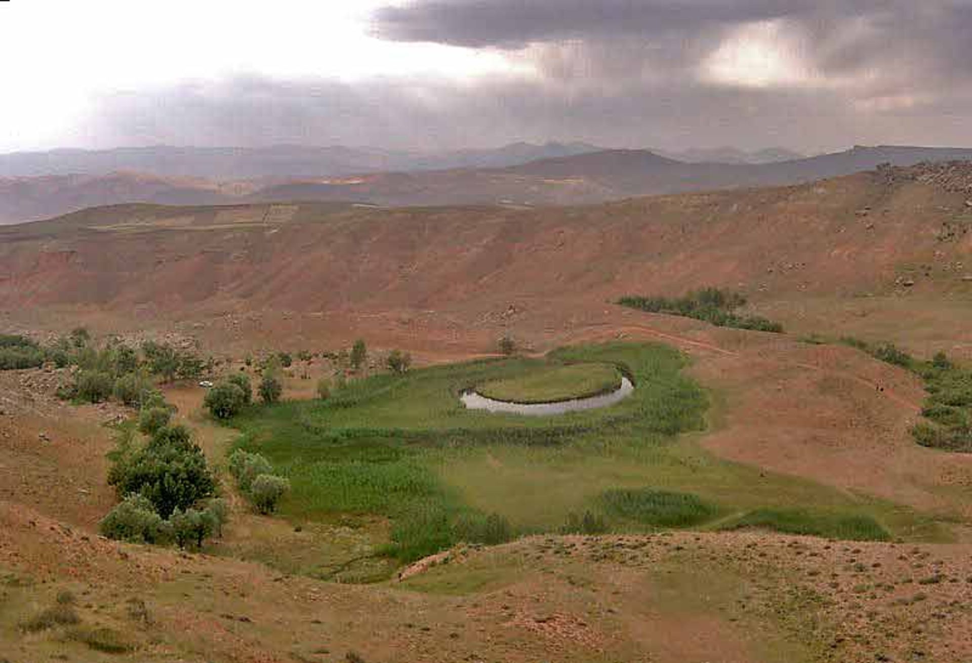 چمن متحرک چملی