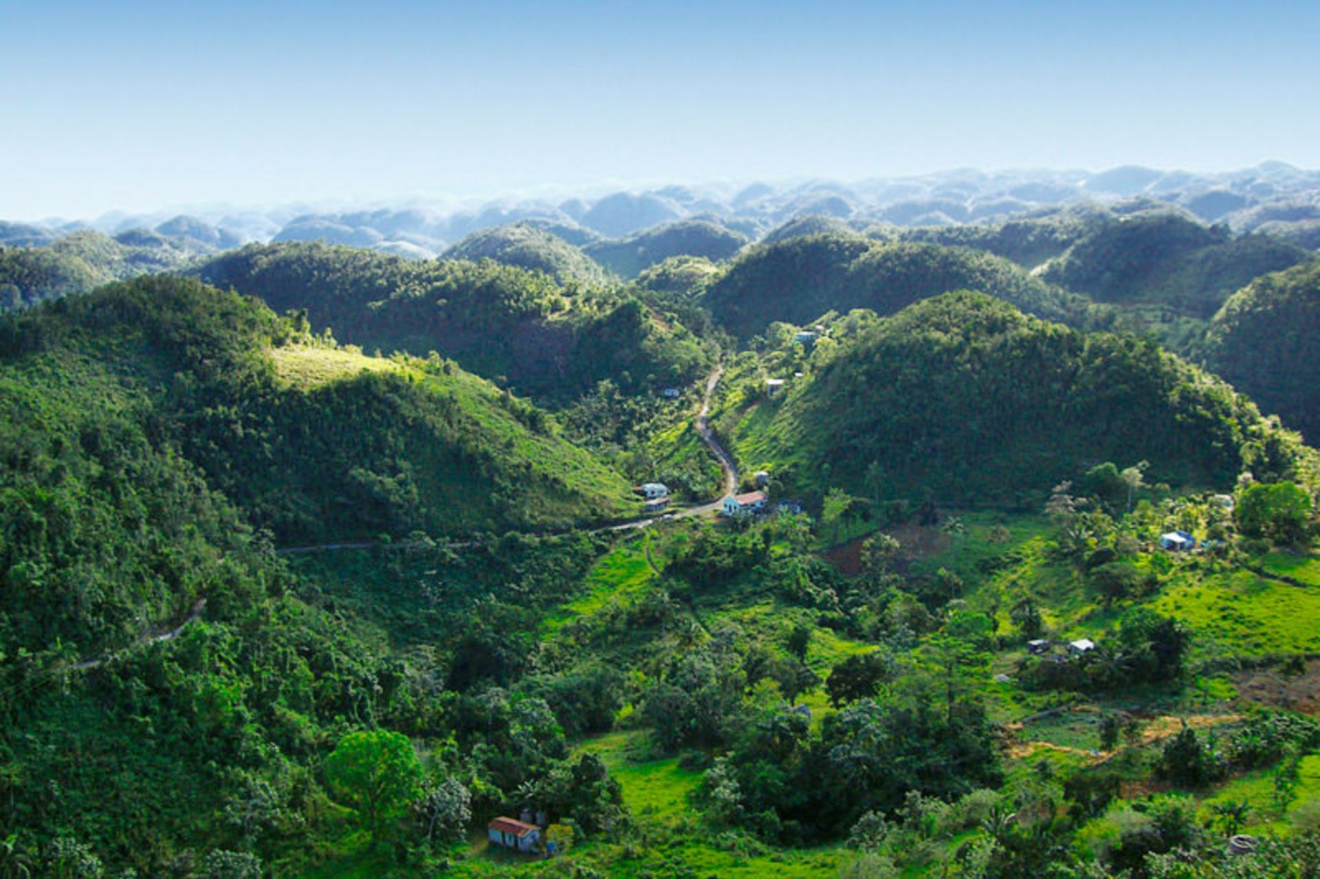 طبیعت جامائیکا