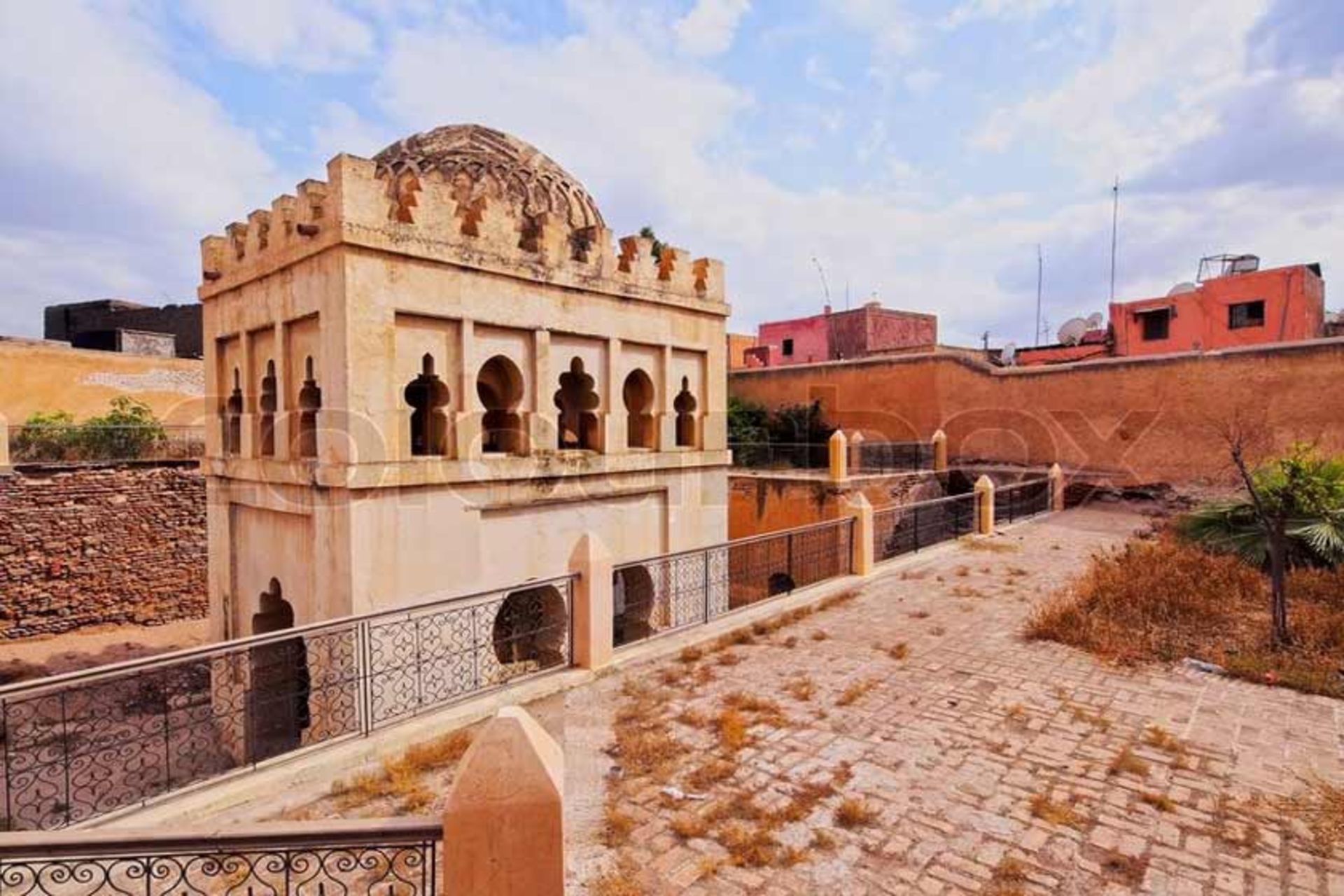 المراوید کوبا