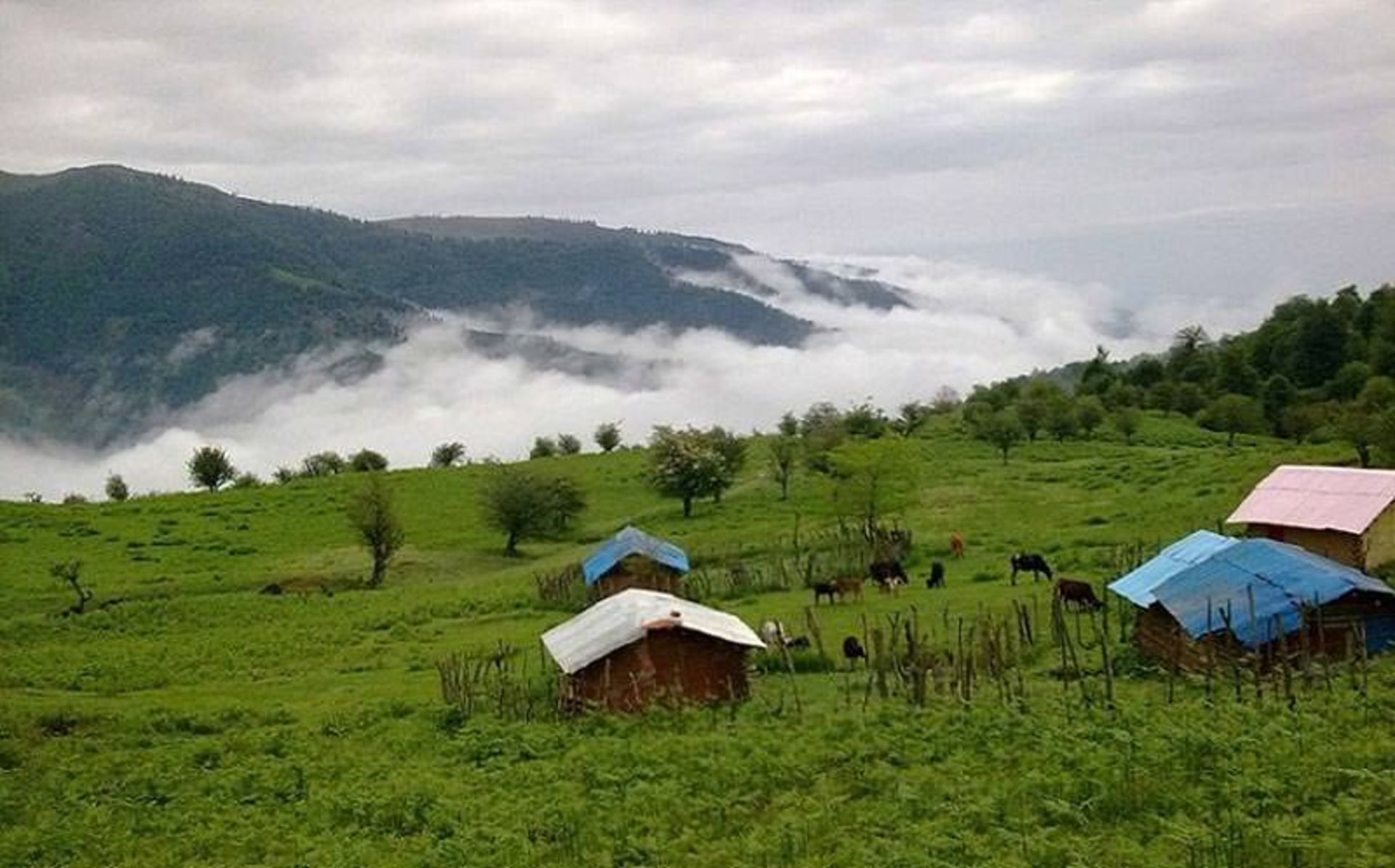 مناطق کوهستانی فومن