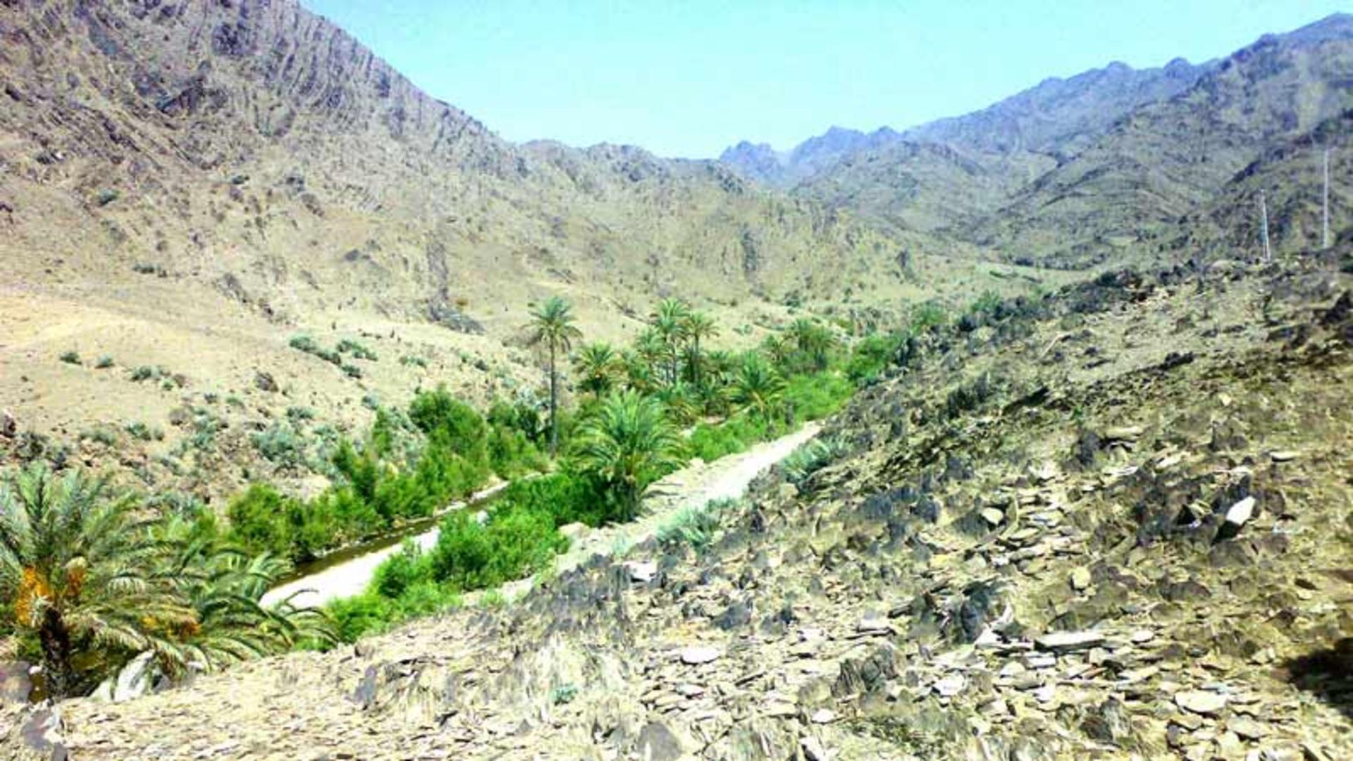 کشیگان