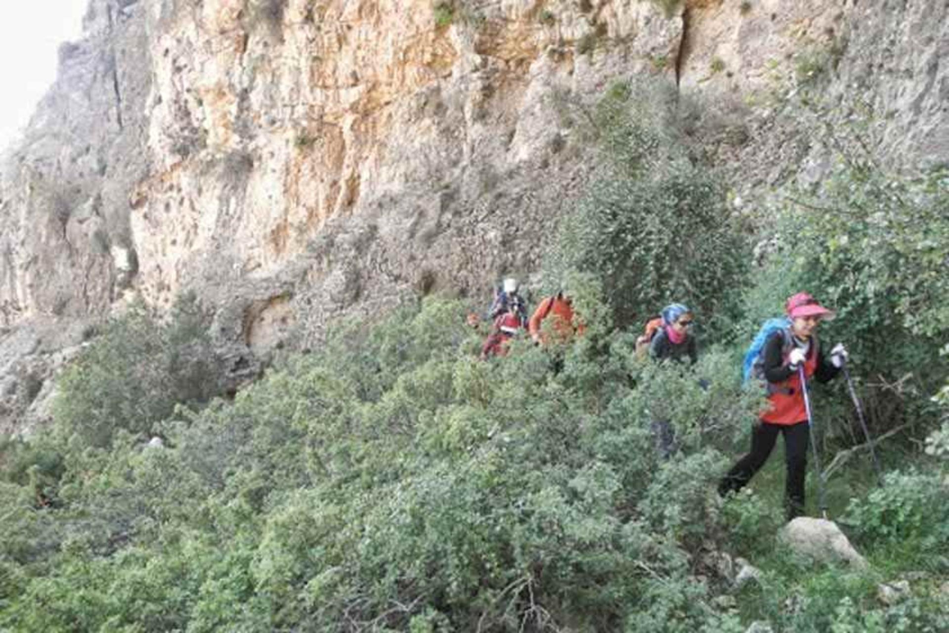 کوه سبز پوشان