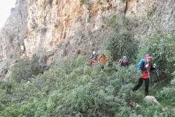 کوه سبز پوشان