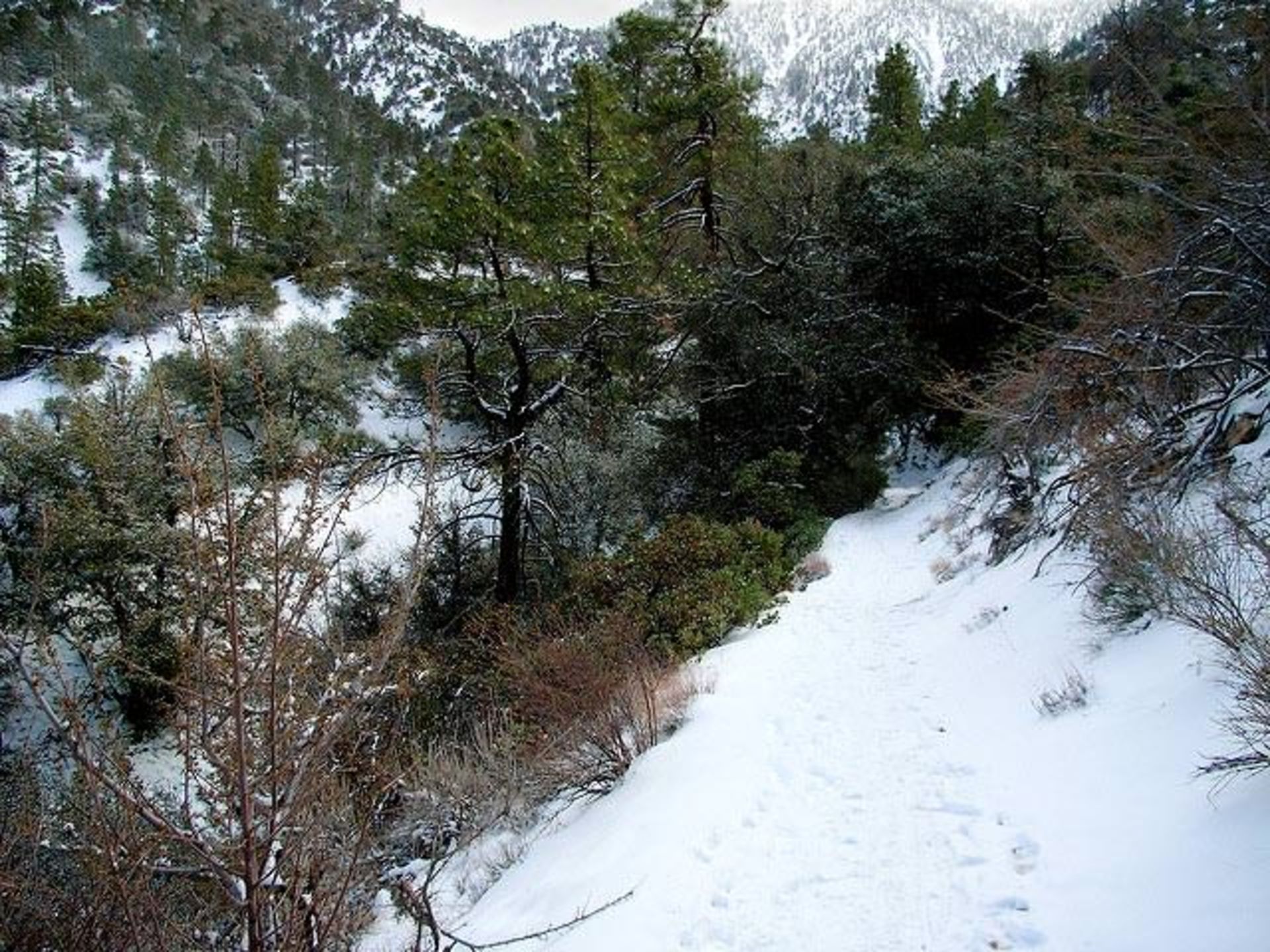 کوهستان سن گابریل