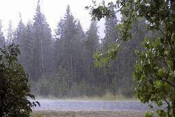هواشناسی