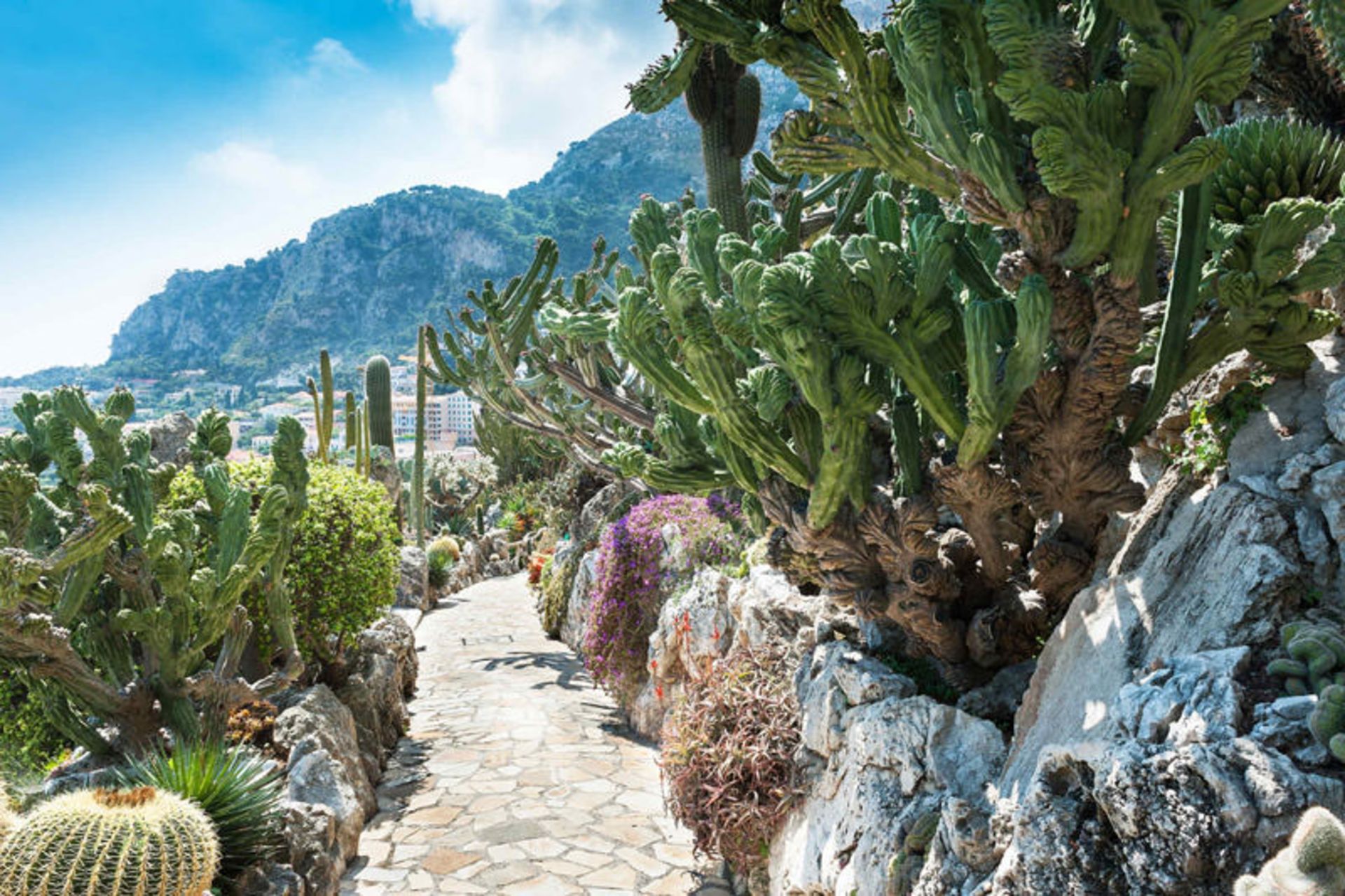 باغ اگزوتیک گاردن