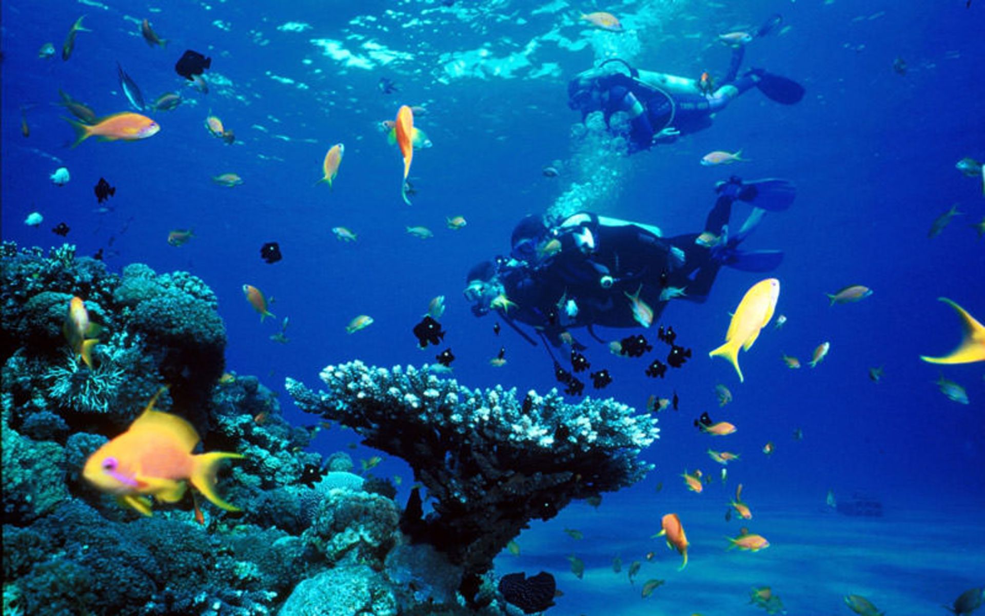 غواصی در دریای اژه (Active Blue Diving Center)