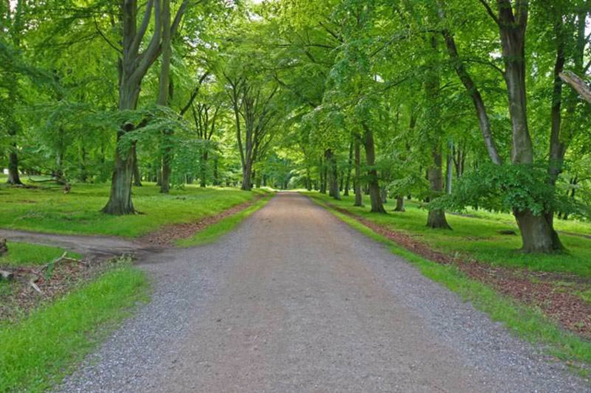 منطقه ی Dyrehave