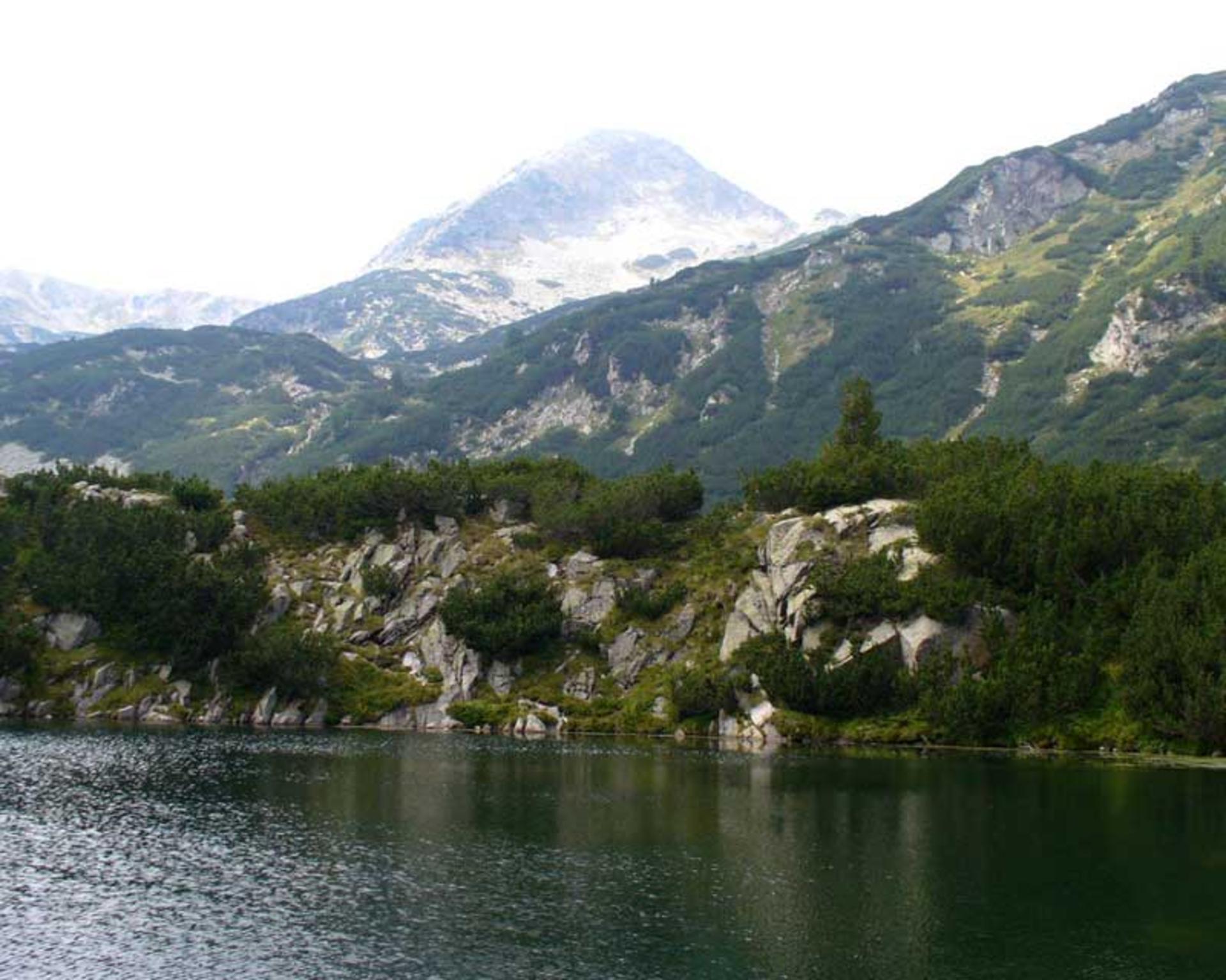 پارک ملی پیرین بلغارستان