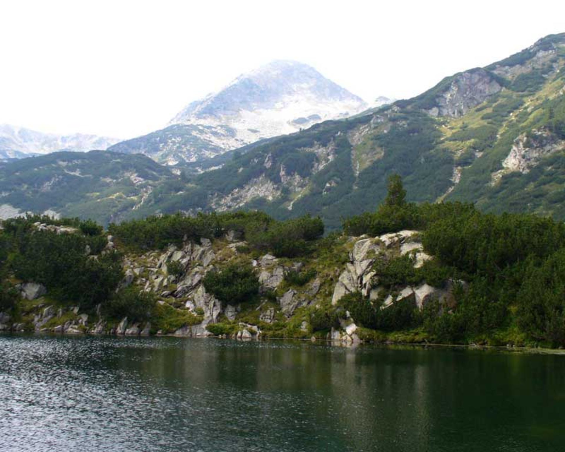 پارک ملی پیرین بلغارستان