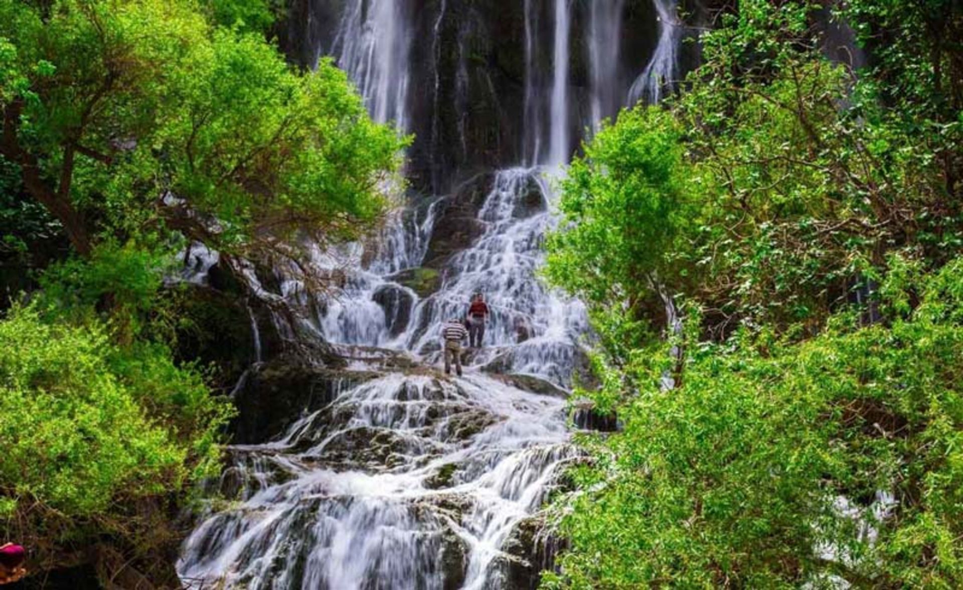 آبشار شوی