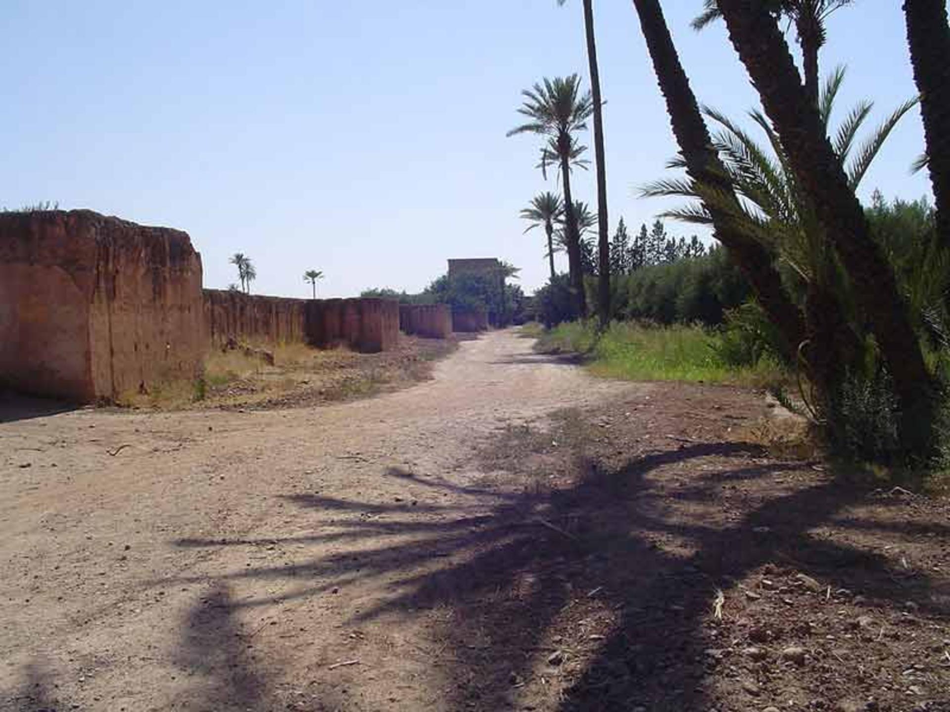 باغ آگ‌ دال