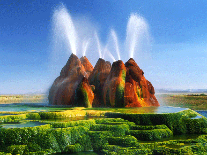 فلای گیزر