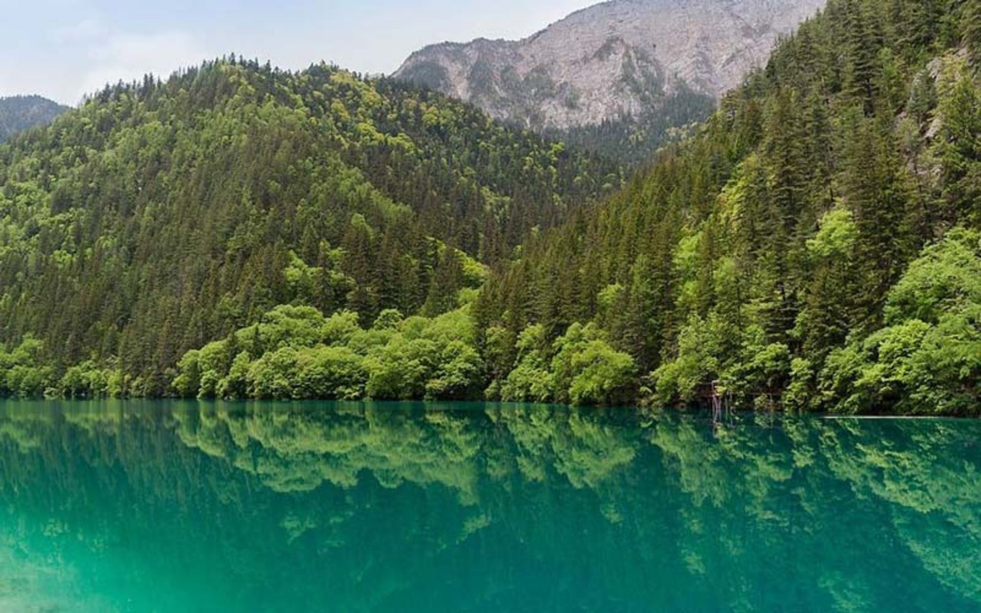 دریاچه پاندا