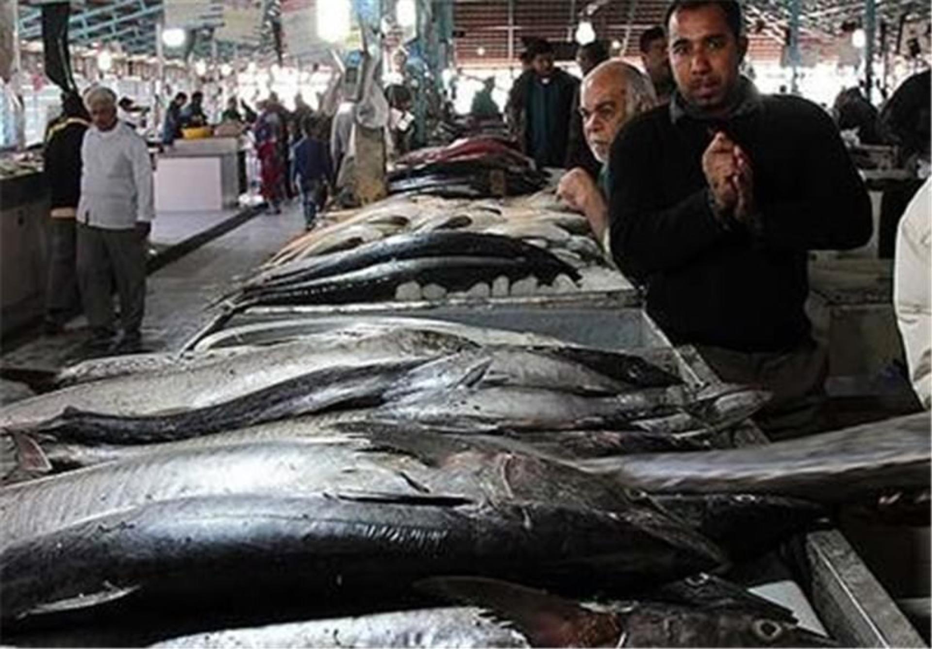 بازار ماهی فروشان بوشهر