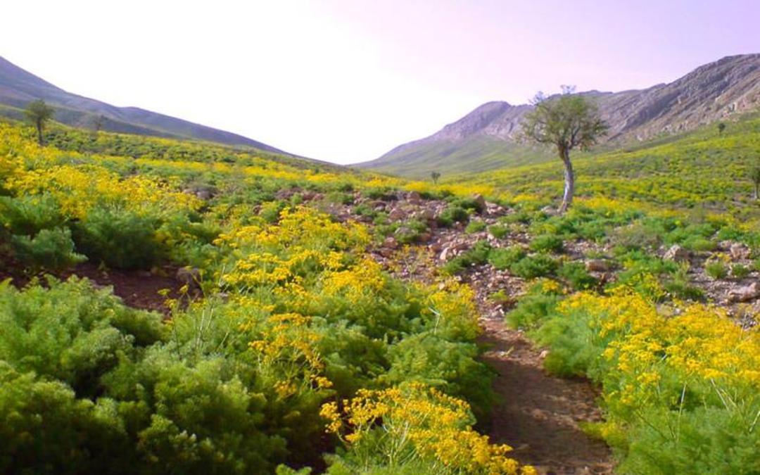 یاسوج کجا بریم
