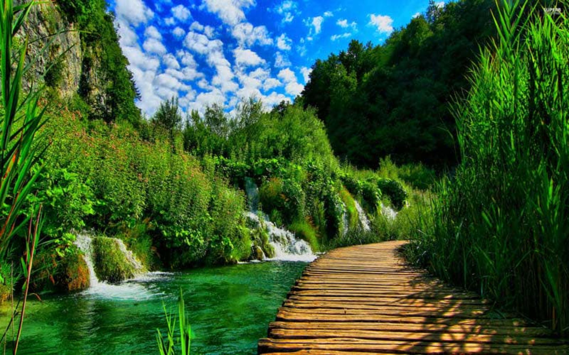 پارک ملی دریاچه پلیتویک