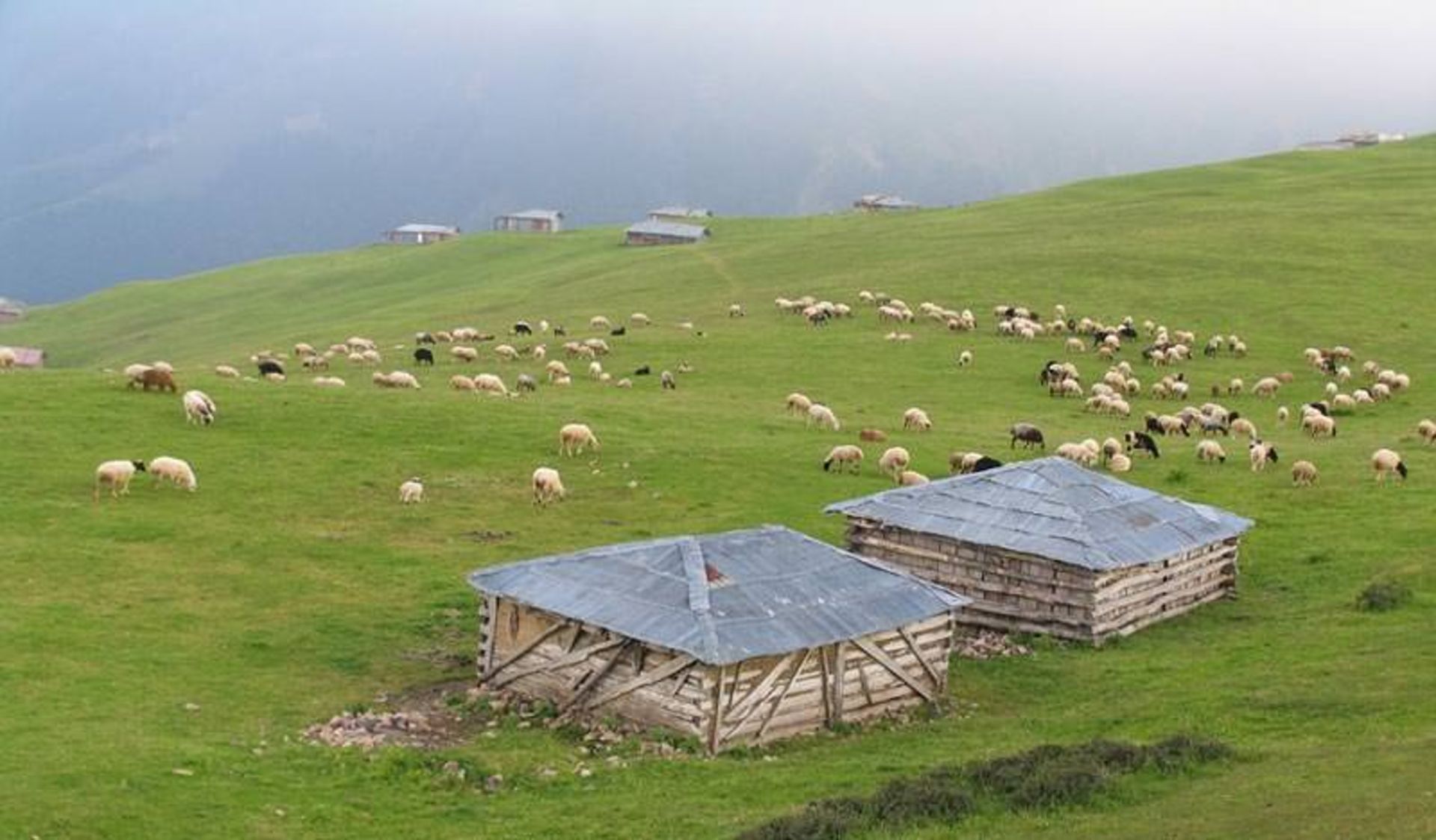 مناطق کوهستانی فومن