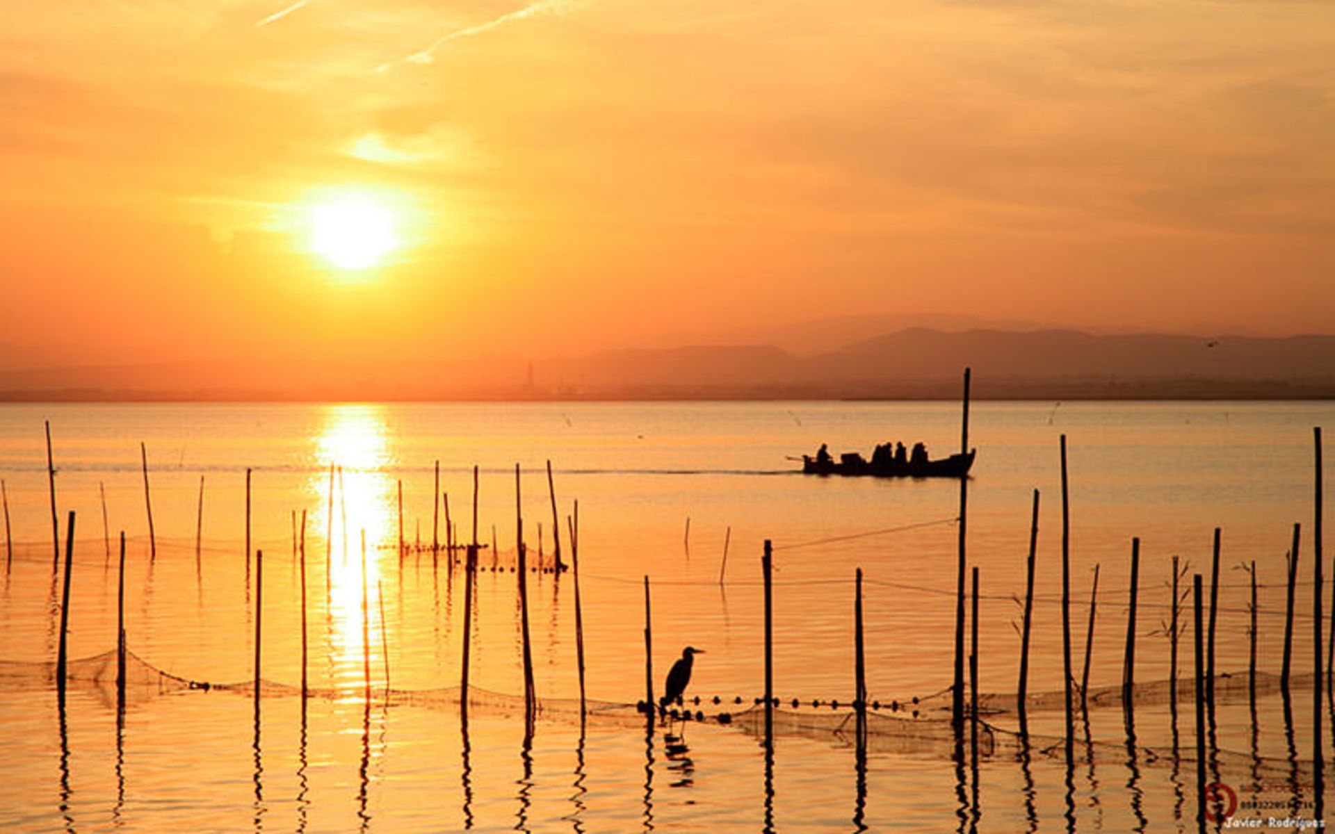 پارک آلبوفرا (Albufera)