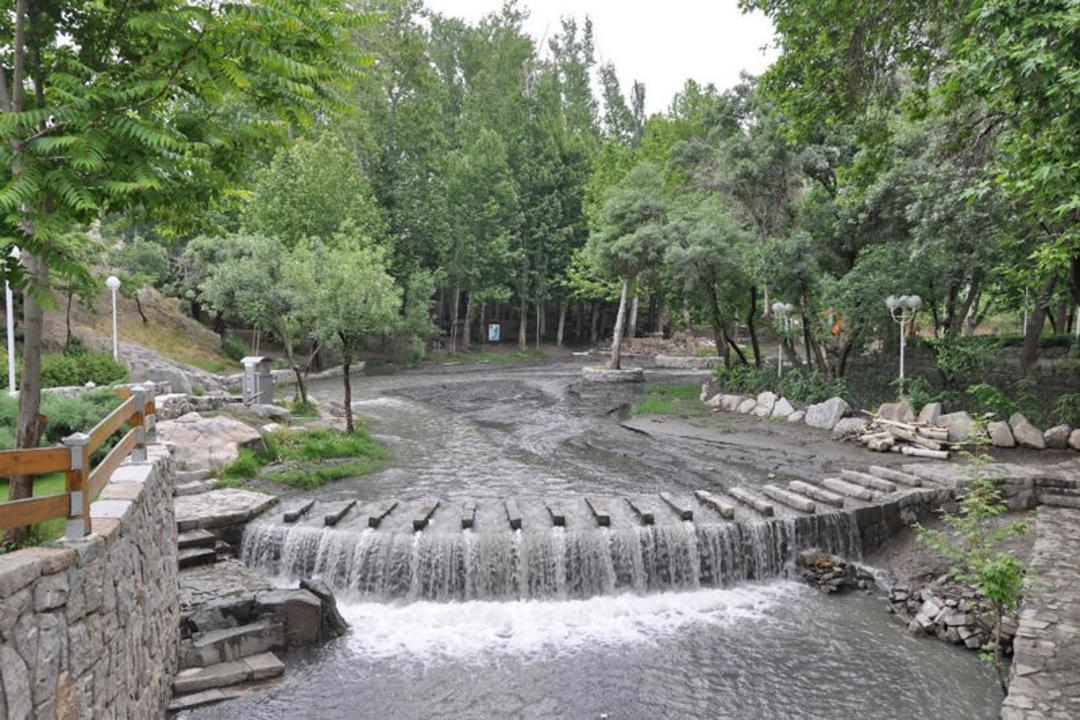 باغ وکیل آباد