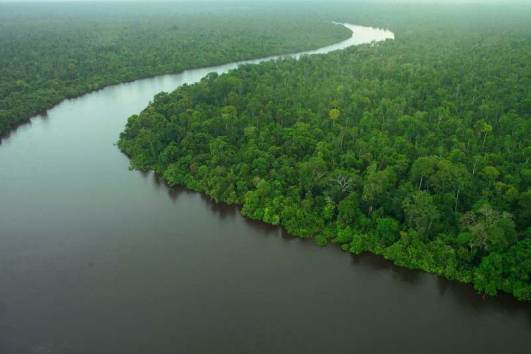 رودخانه‌ی کیناباتانگان (Kinabatangan River)