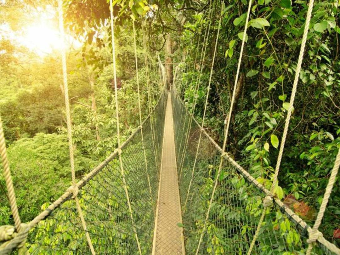 تامان نگارا (Taman Negara)