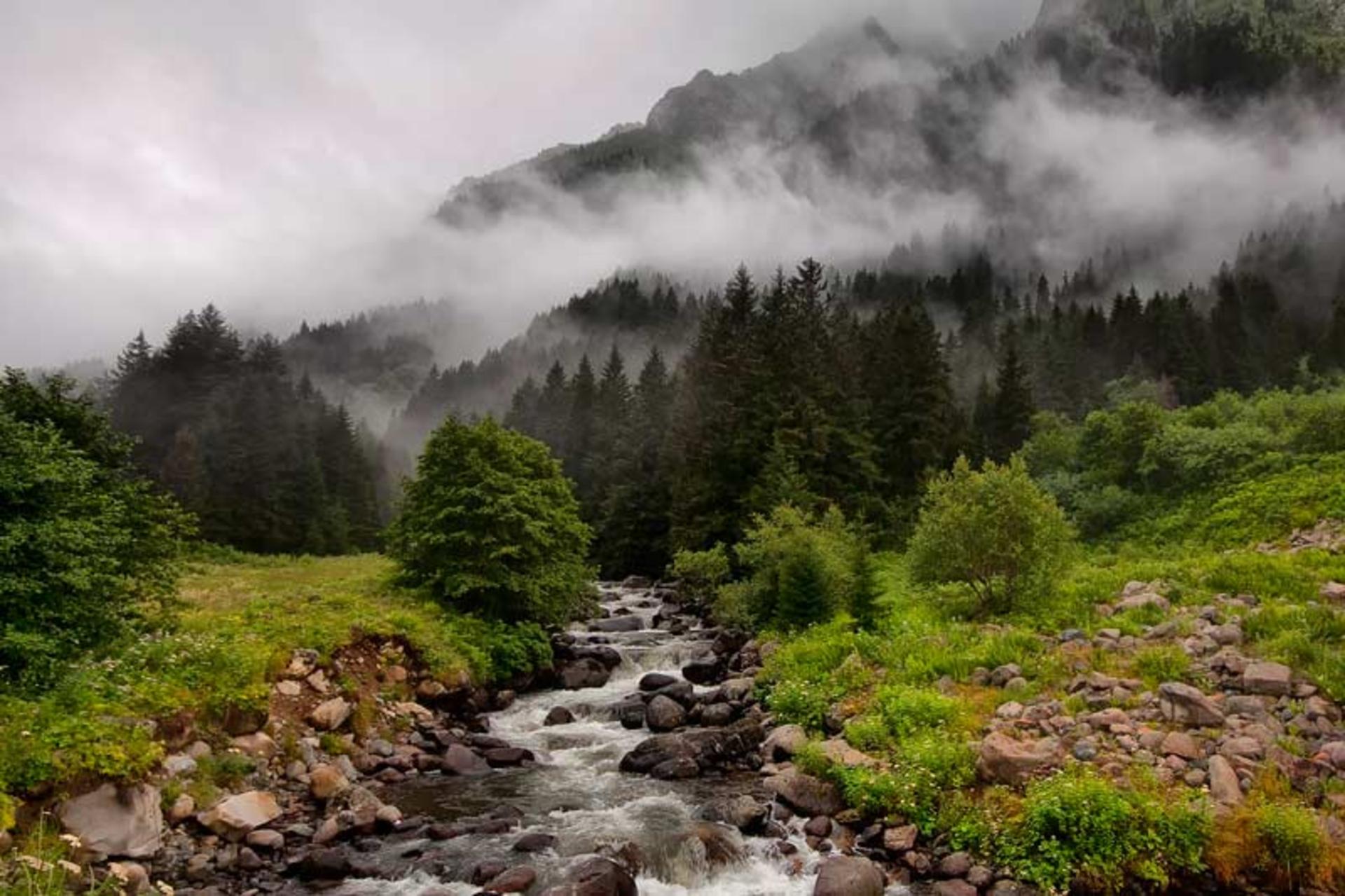 پارک ملی کوهستان کاچکار 