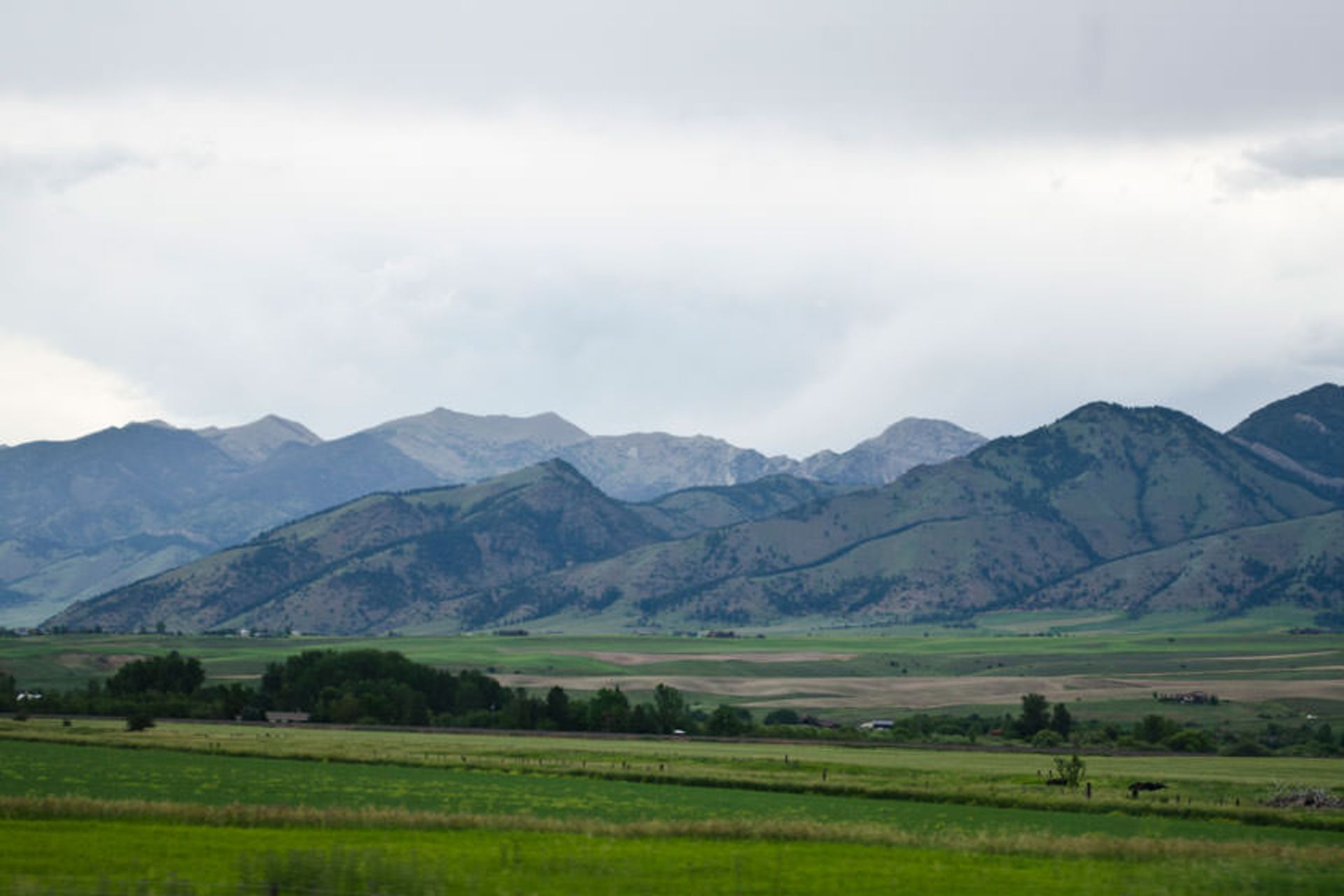 کوهستان بریجر