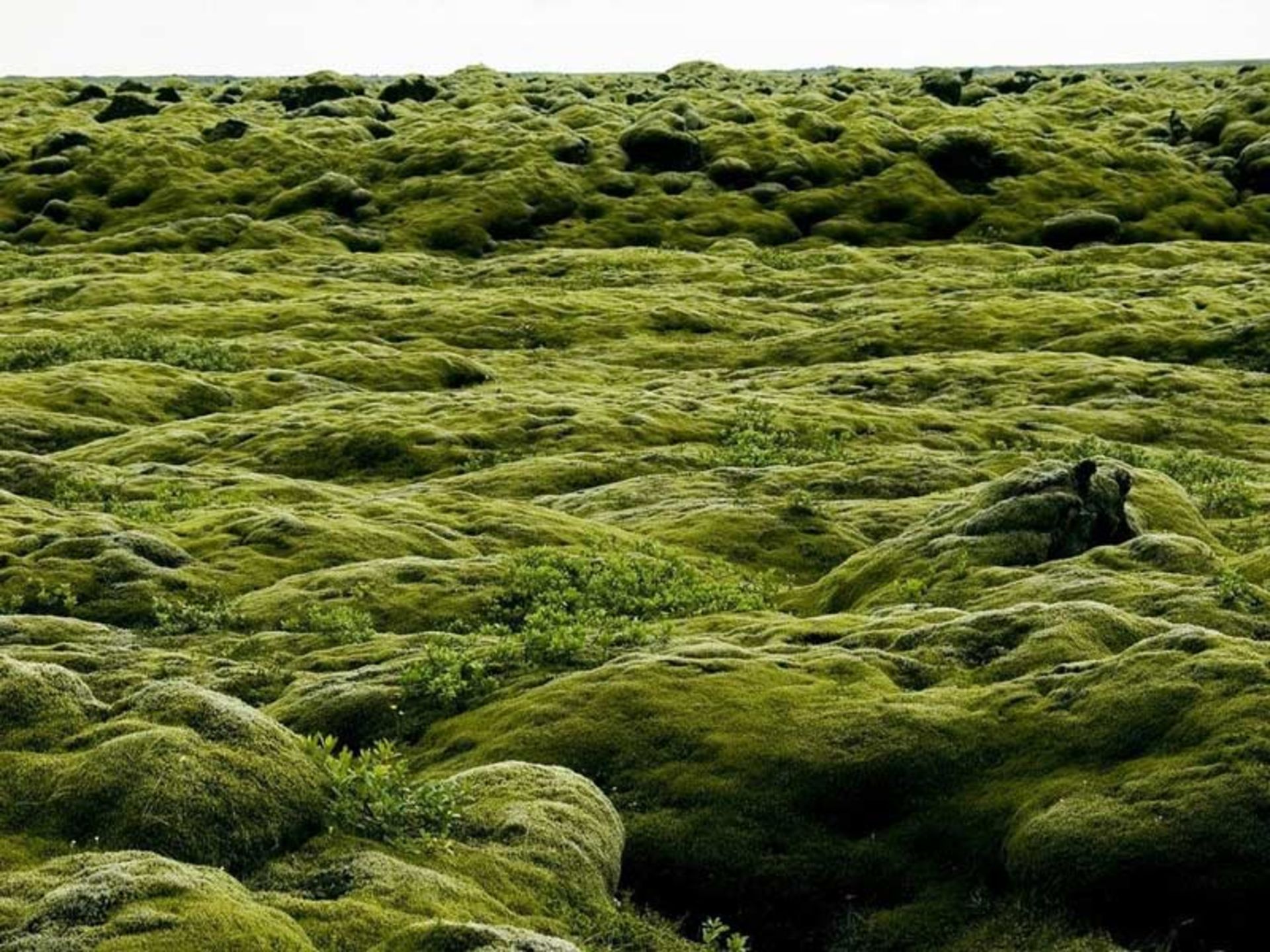 آتشفشانهای خطرناک ایسلند