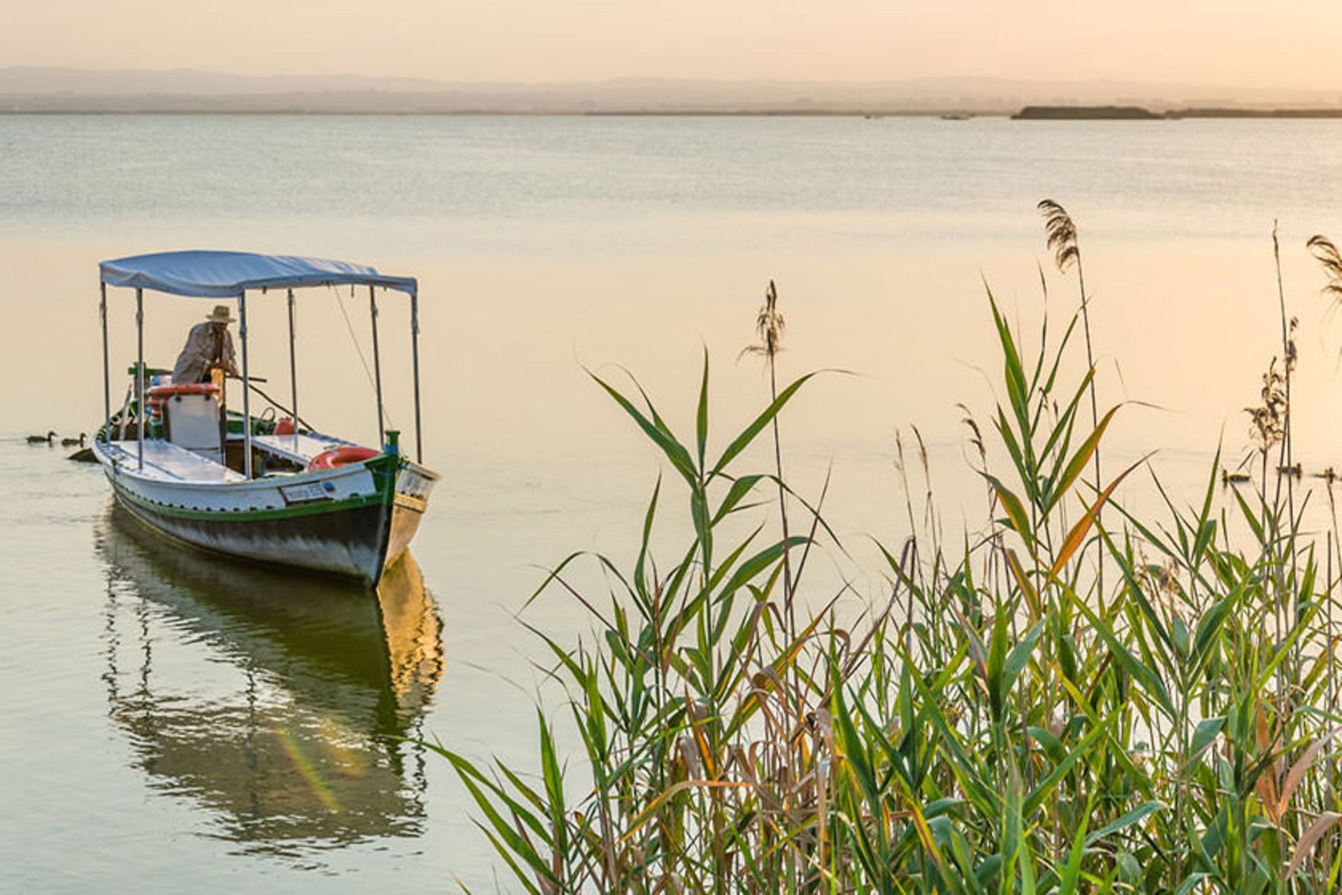 پارک آلبوفرا (Albufera)
