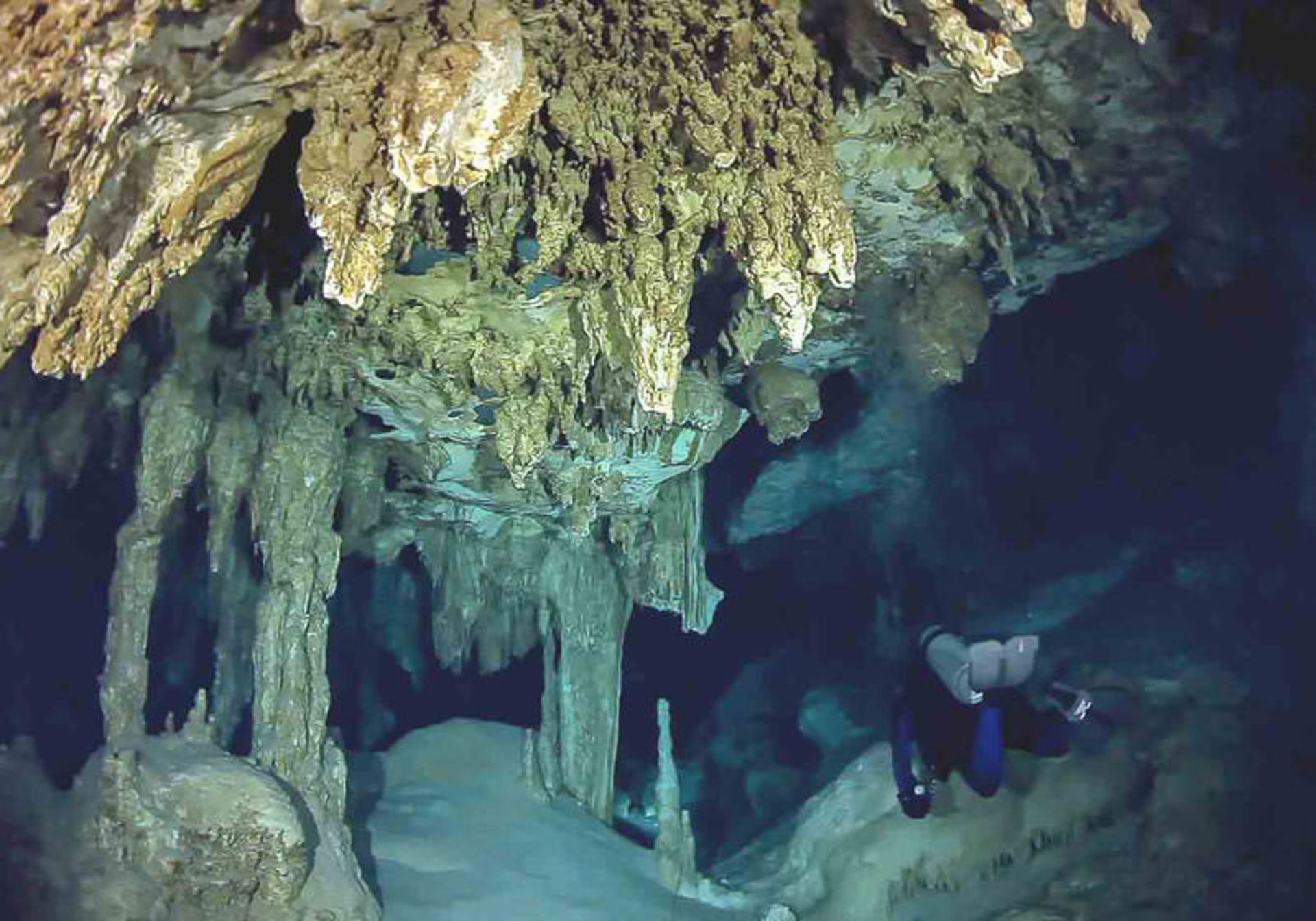 سینوتی داس اجاس