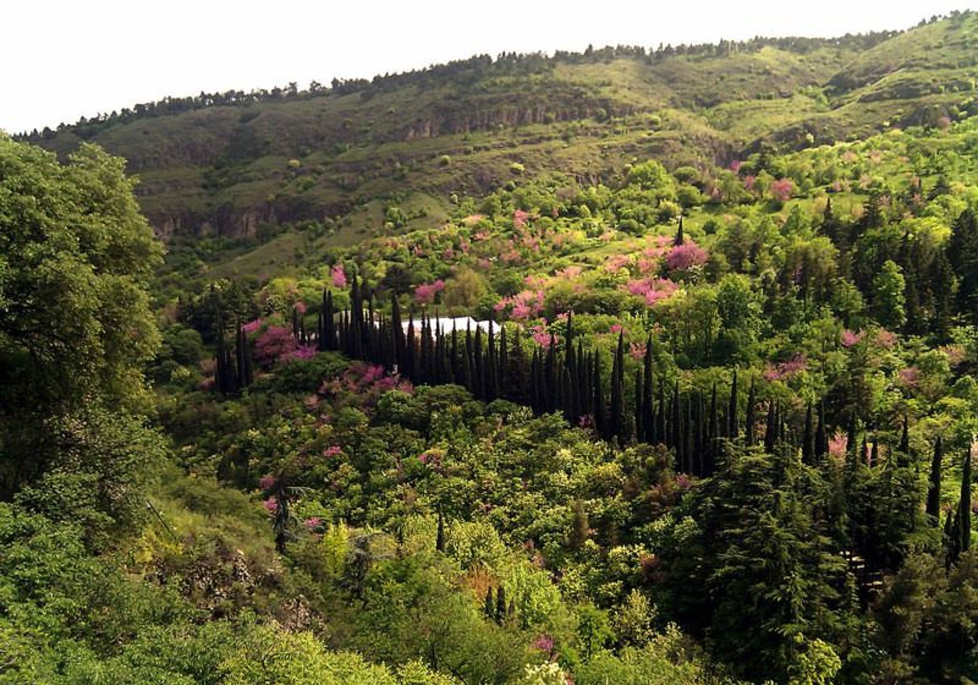 باغ ملی گیاه شناسی گرجستان	