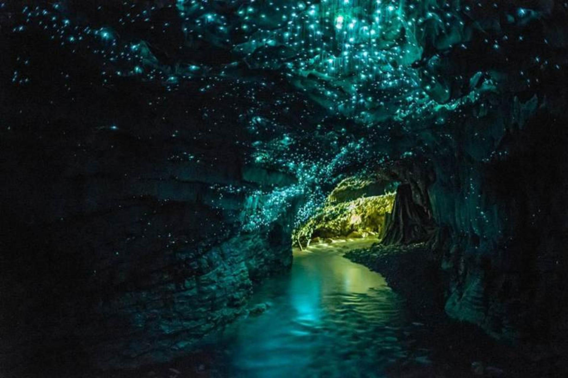غار کرم‌های شب‌تاب Waitomo