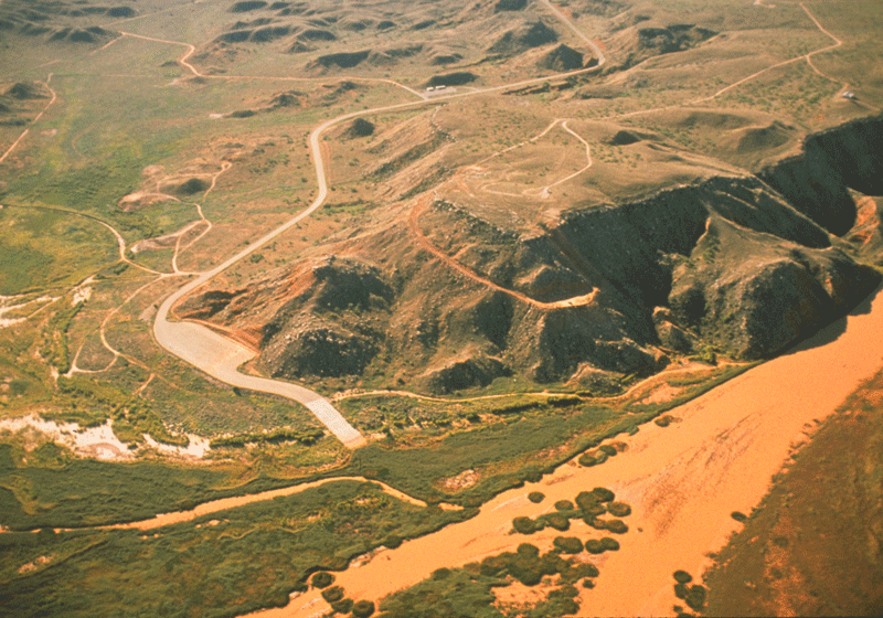 آلیبیتز