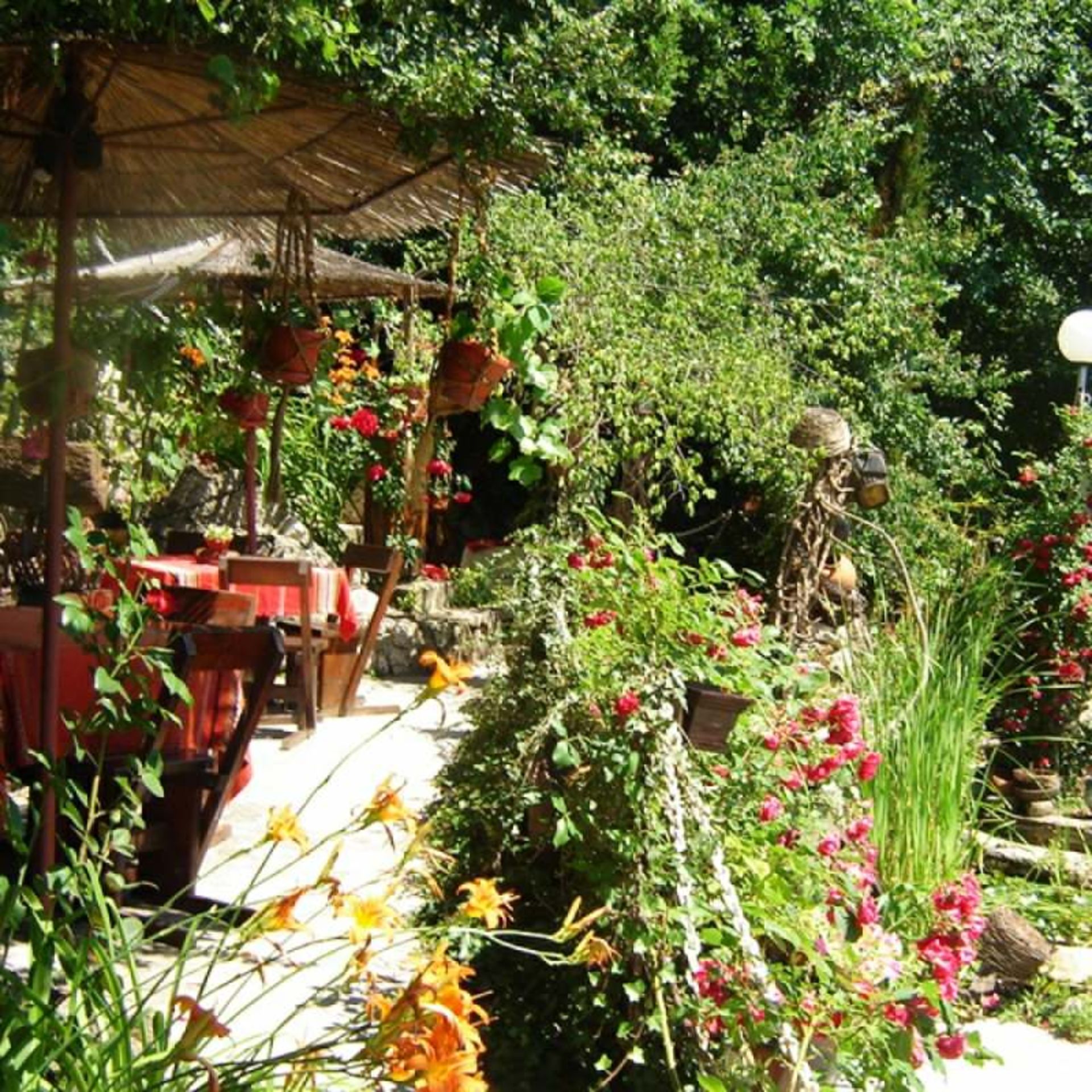 رستوران های وارنا