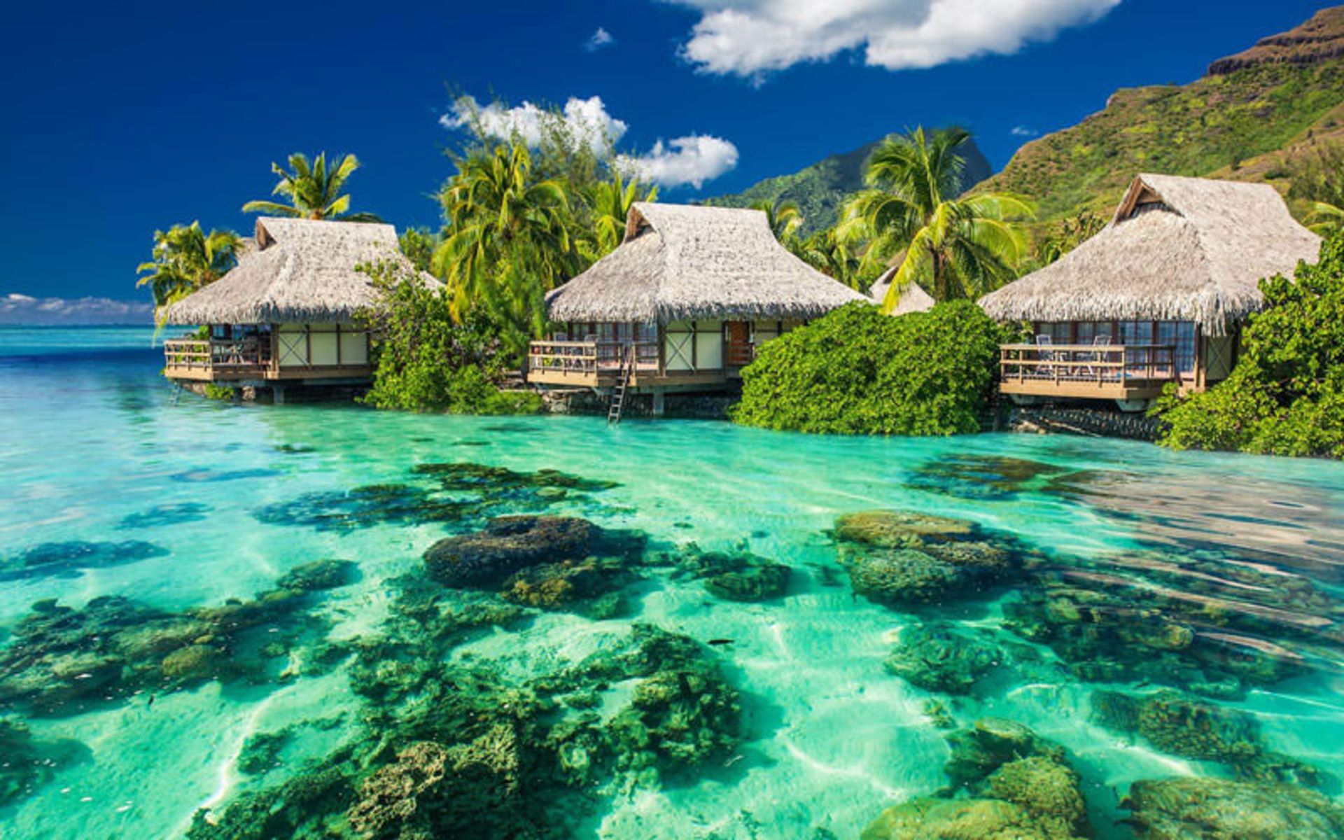 تاهیتی (Tahiti)