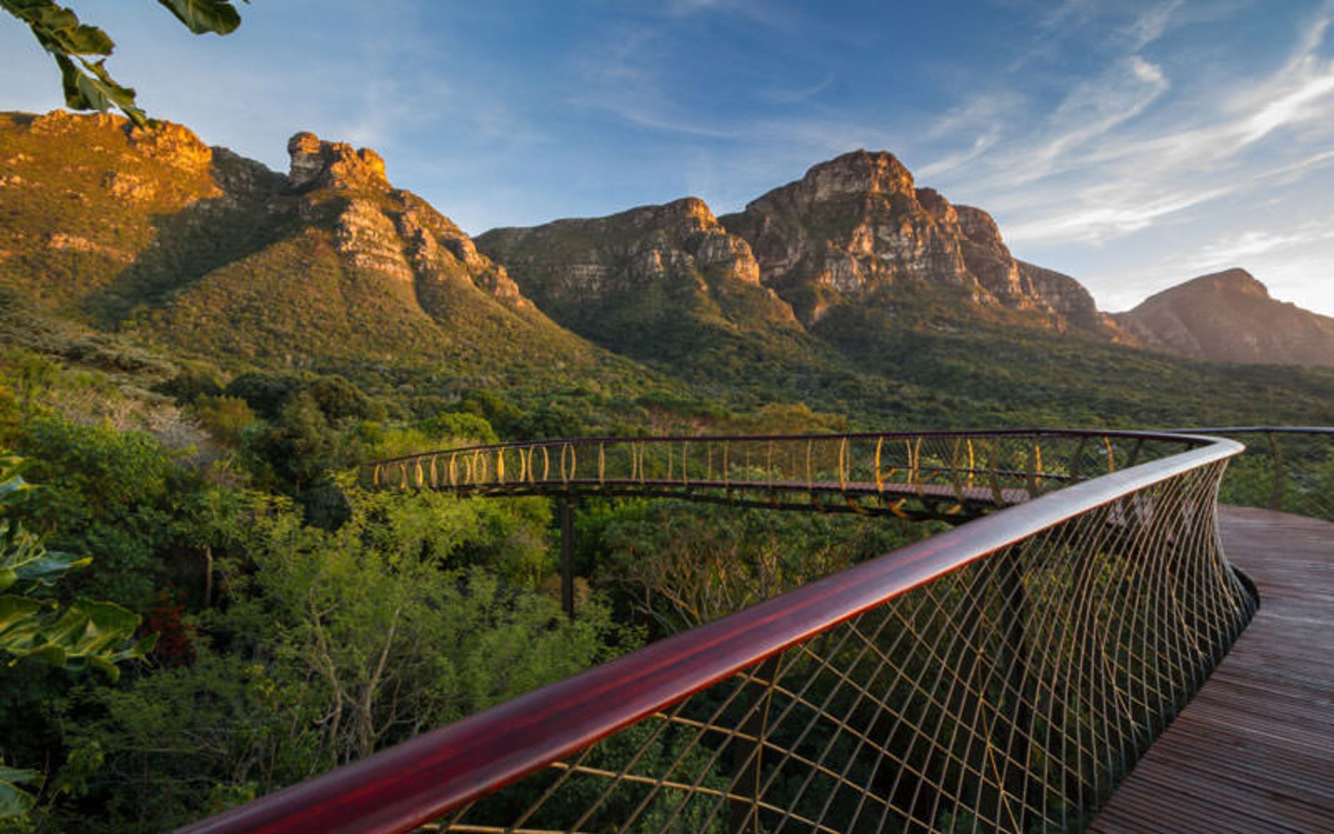 باغ ملی گیاه‌شناسی کریستن بوش (Kirstenbosch National Botanical Garden)