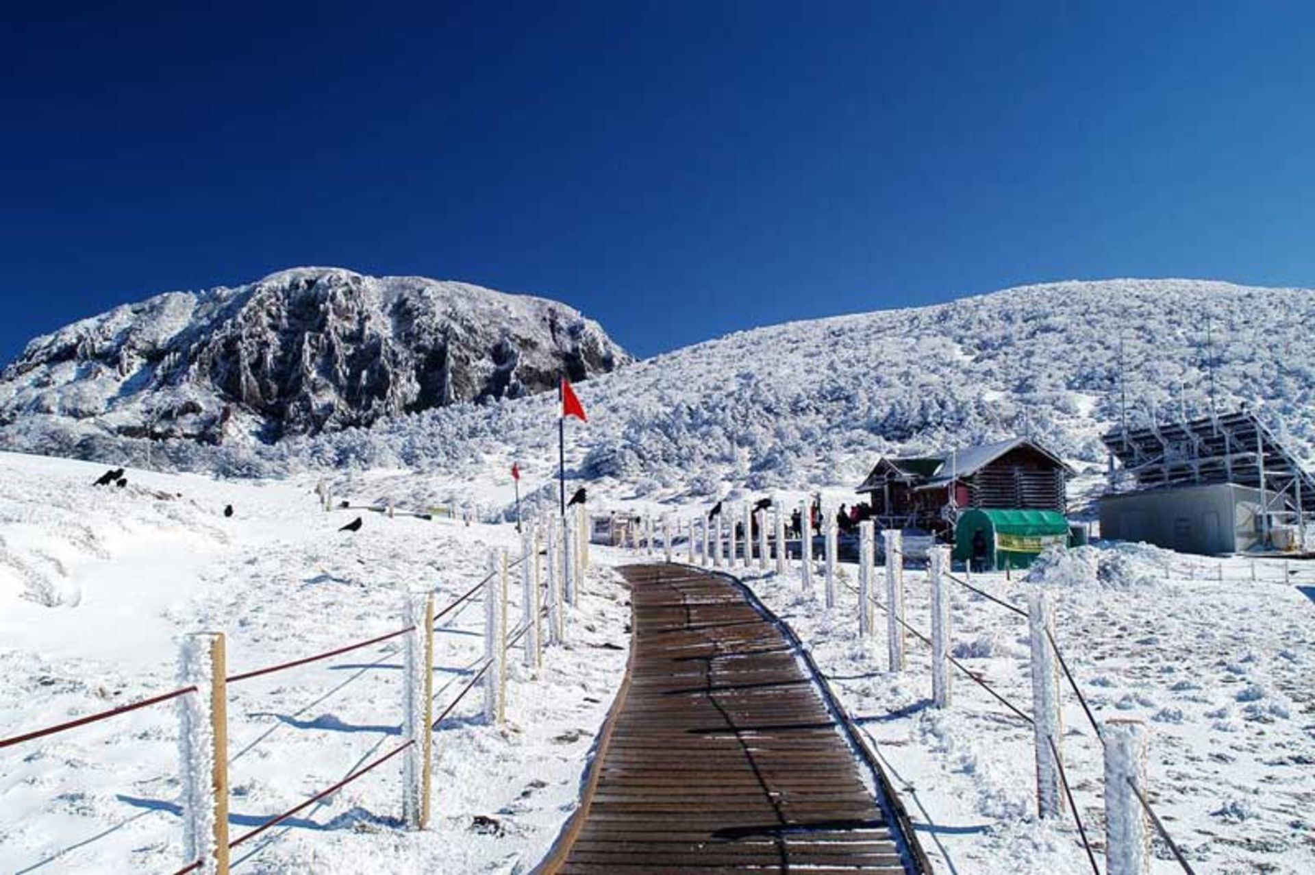 کوهستان هالا، کره جنوبی
