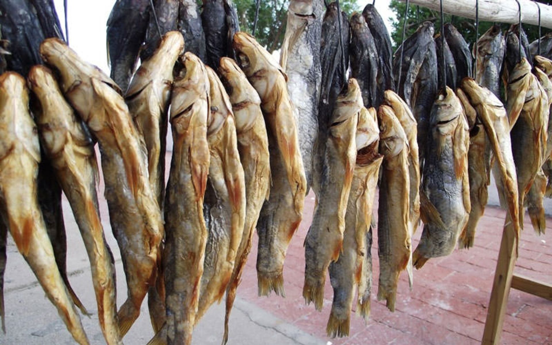 بوکومز (Bokkoms)