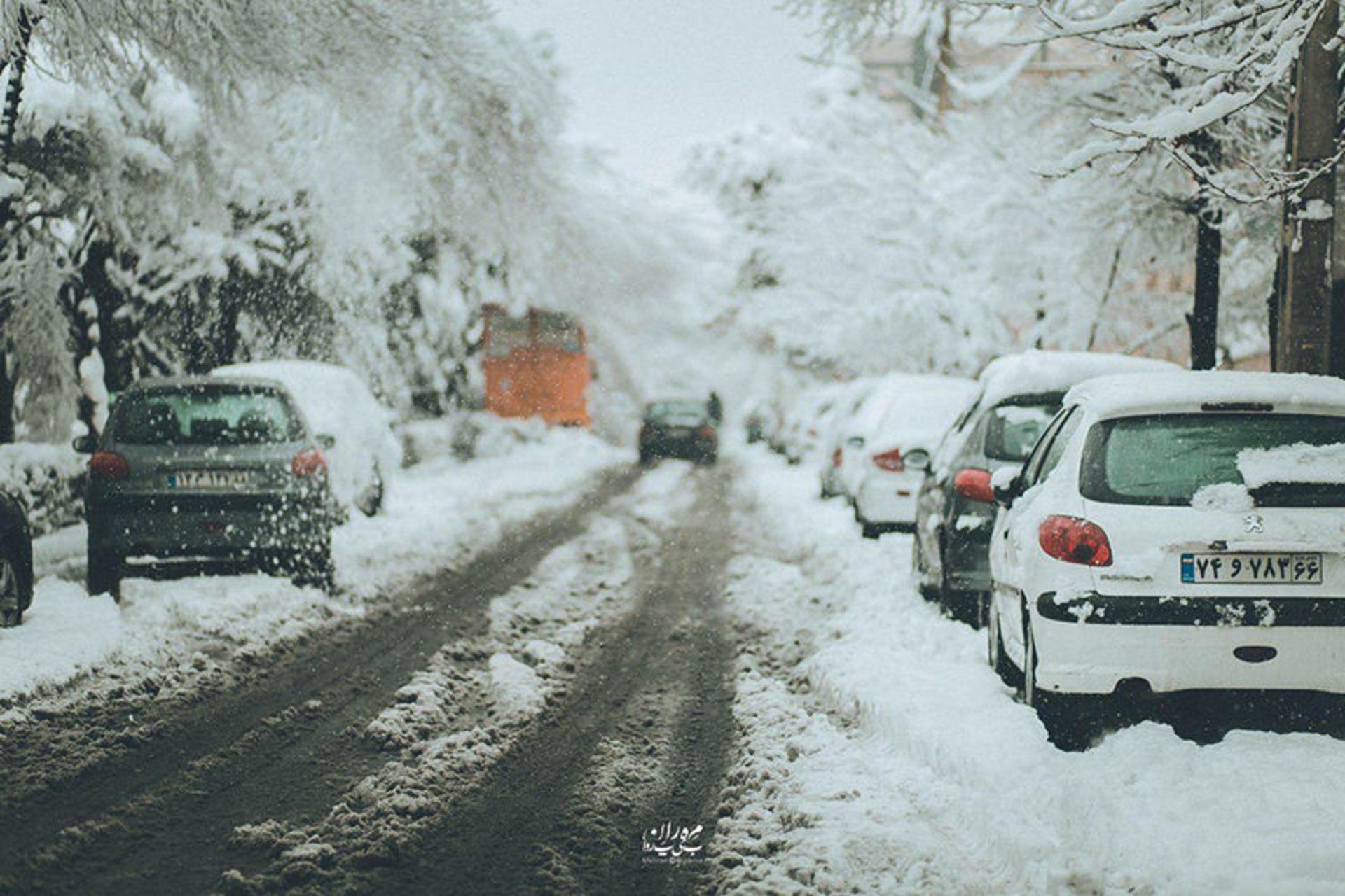 برف تهران