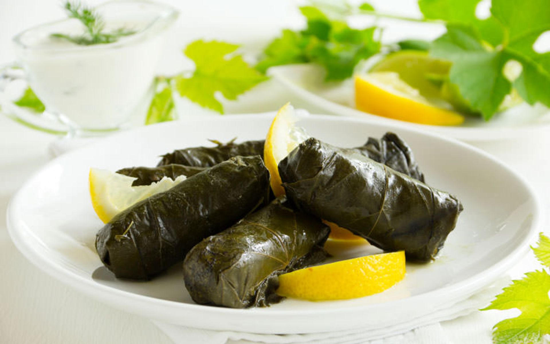 دلماداکیا (Dolmadakia)