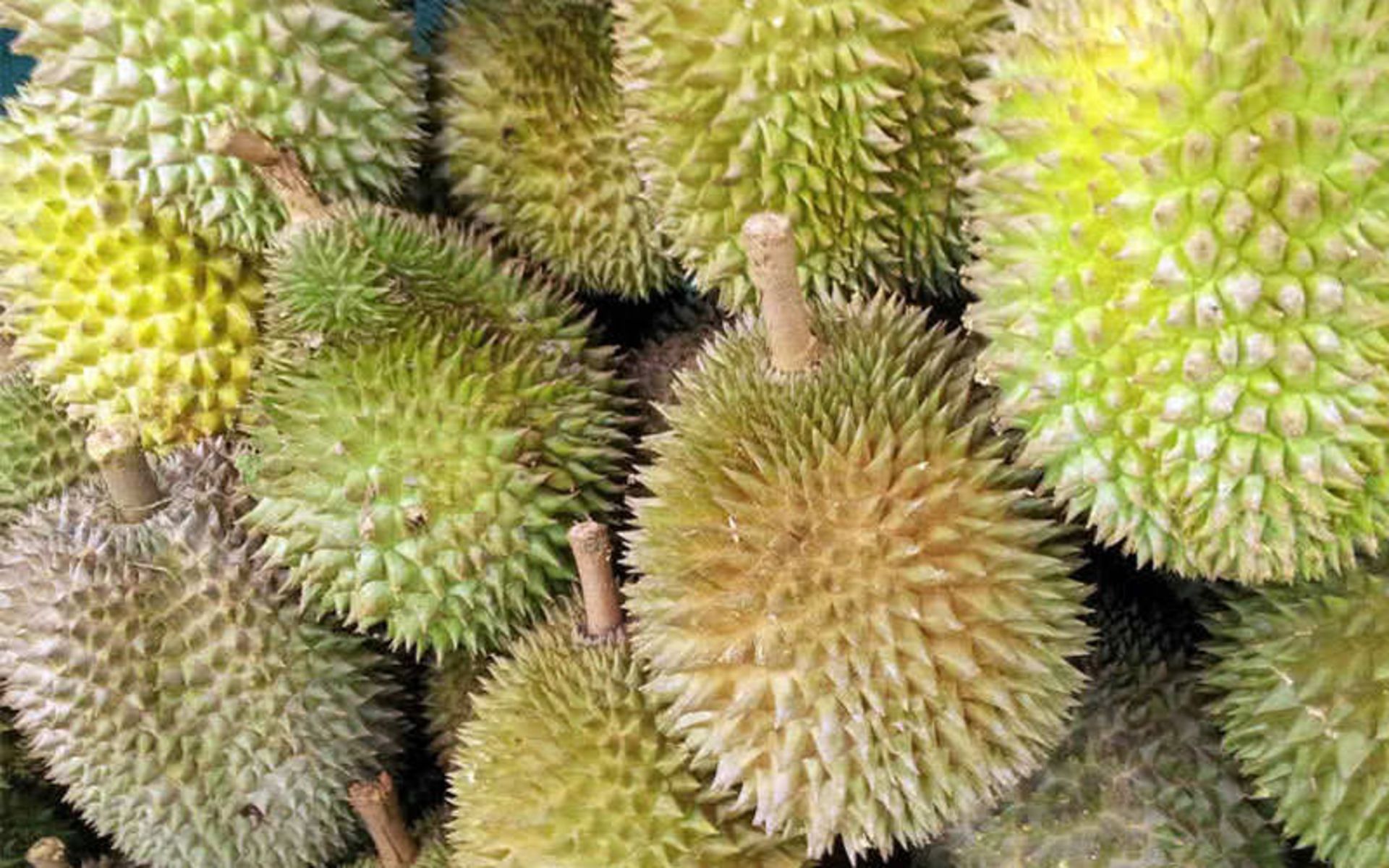 میوه های عجیب در جهان