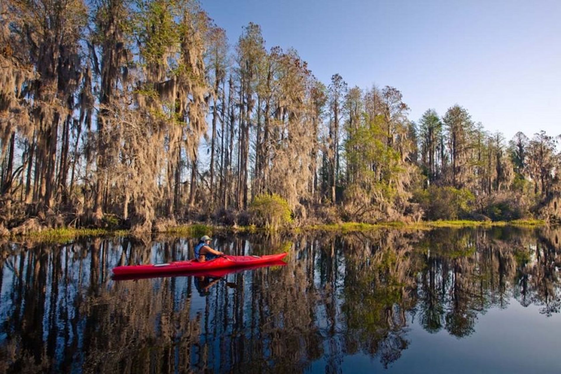 باتلاق Okefenokee