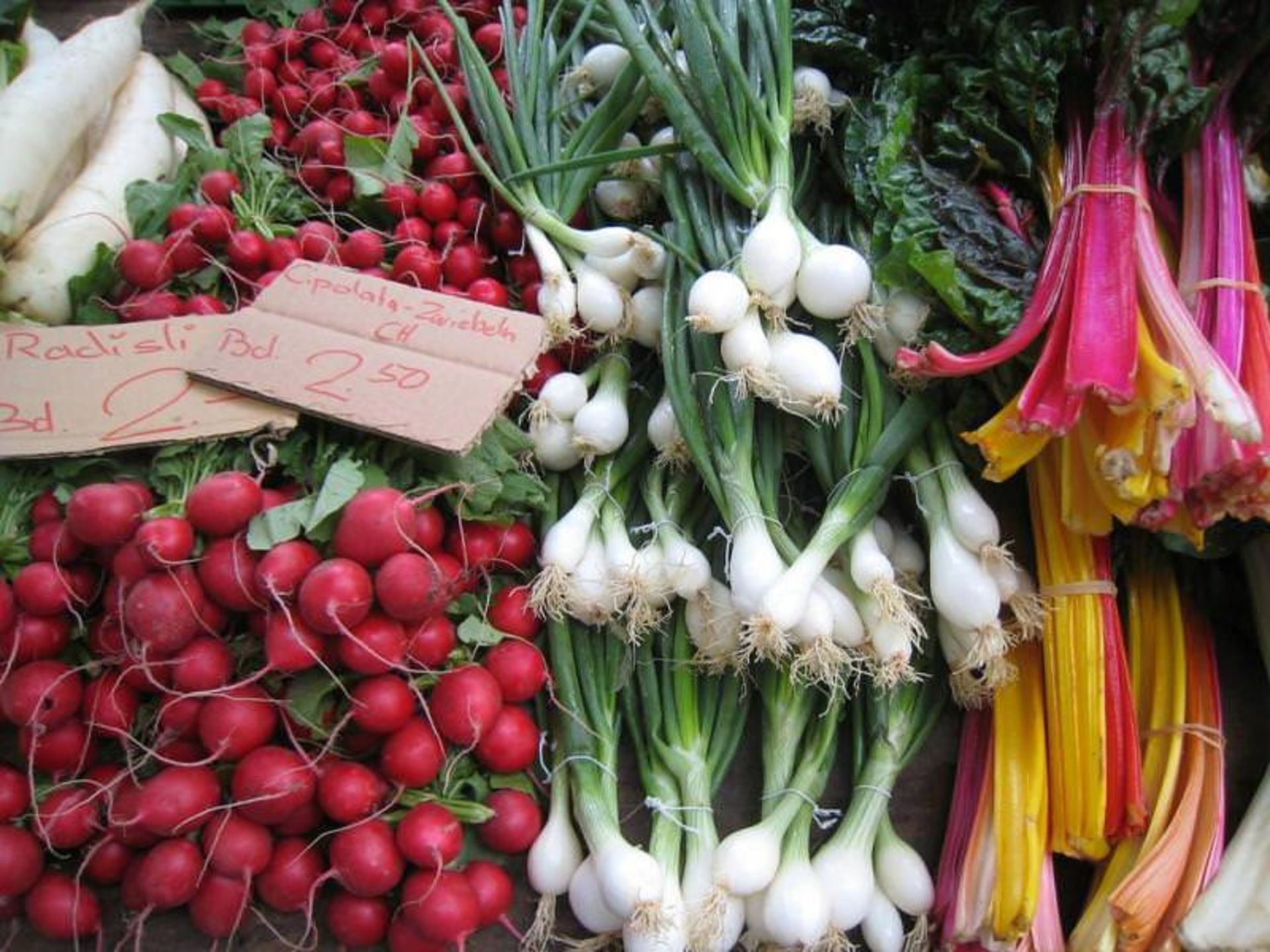 راهنمای خرید در زوریخ