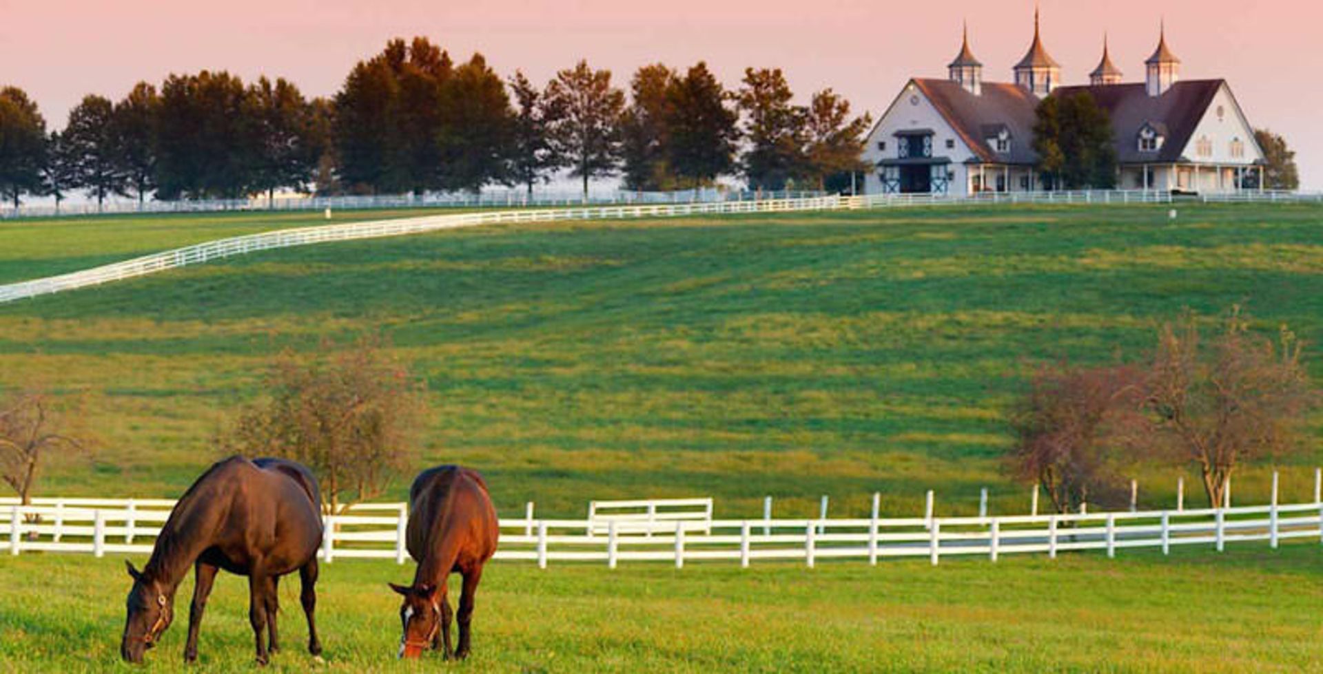 لکسینگتون، کنتاکی (Lexington)