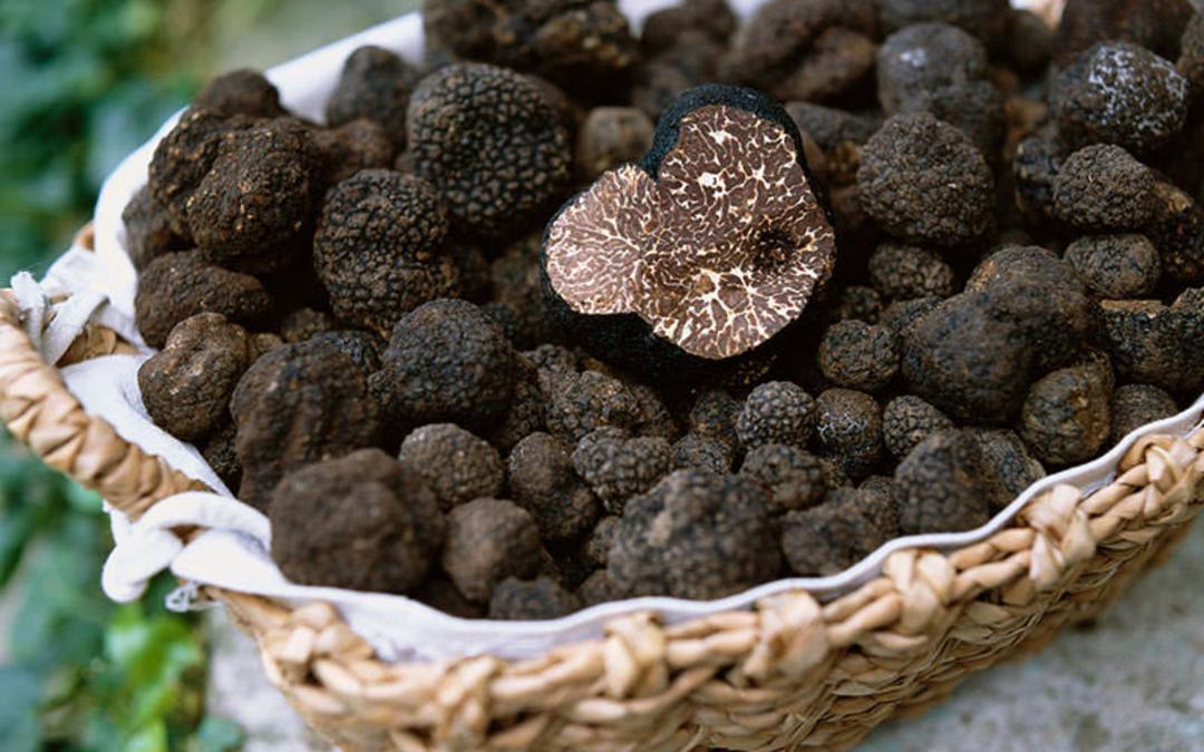 خوراکی های عجیب دنیا