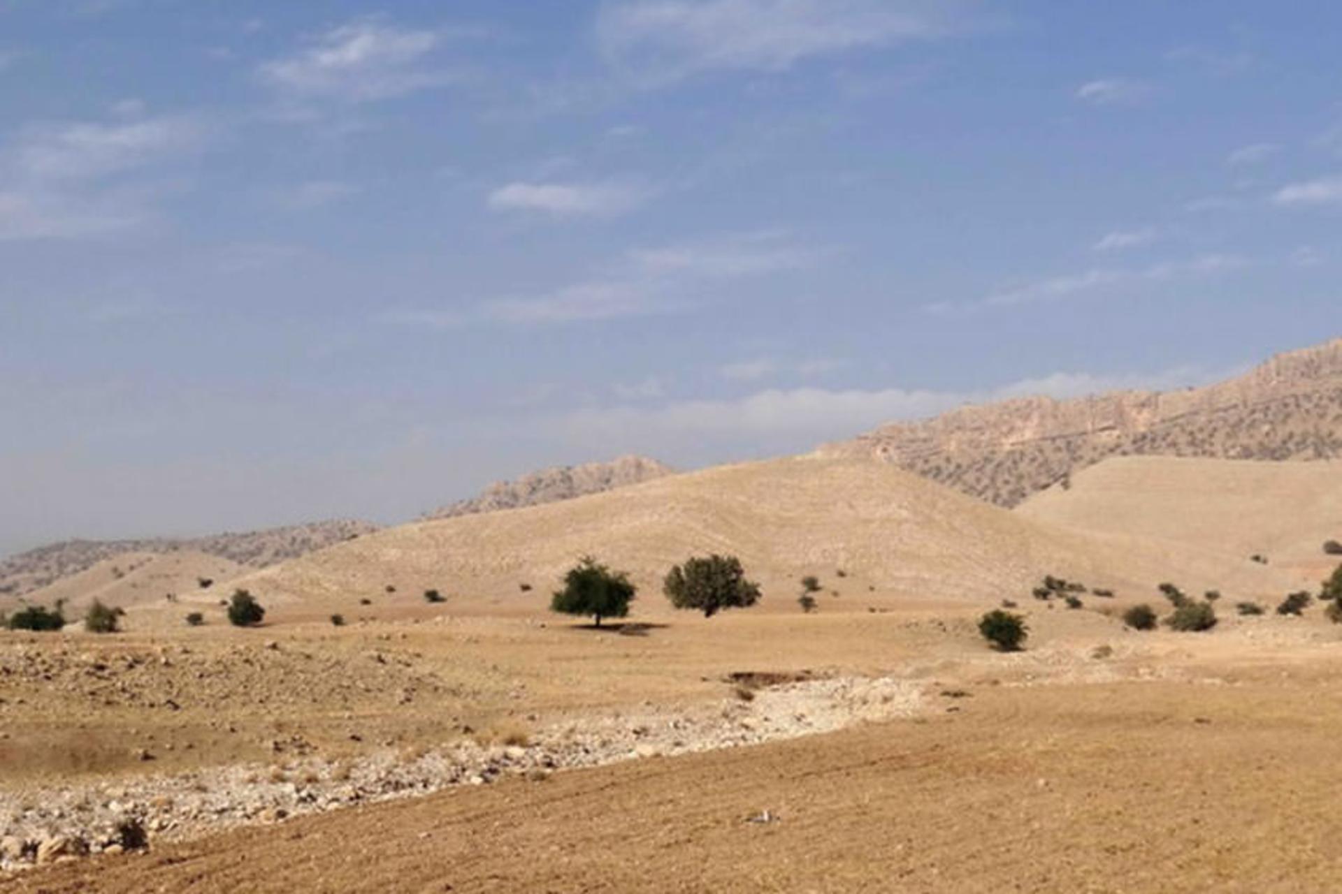 استقرارگاه گشتاسپی