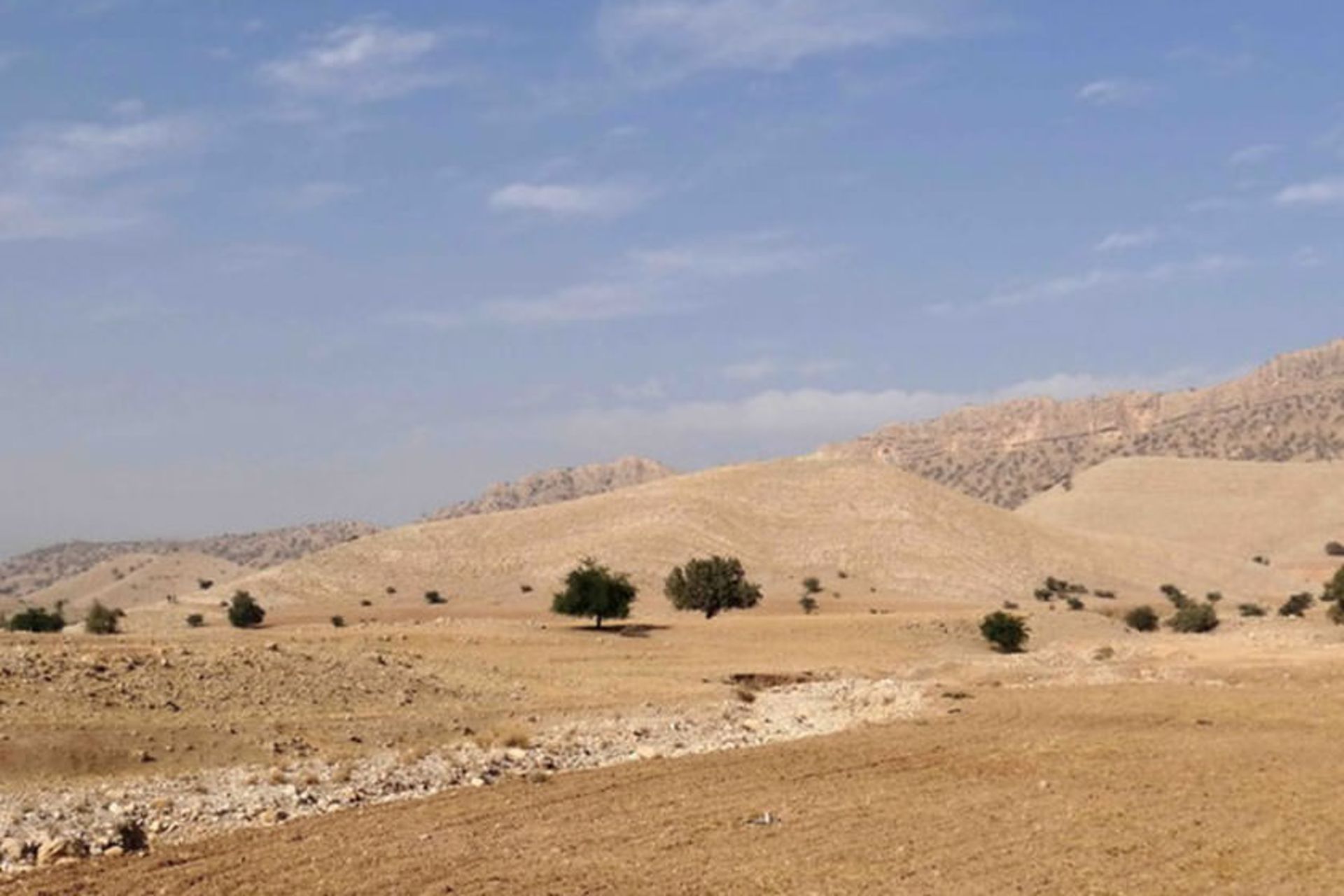 استقرارگاه گشتاسپی