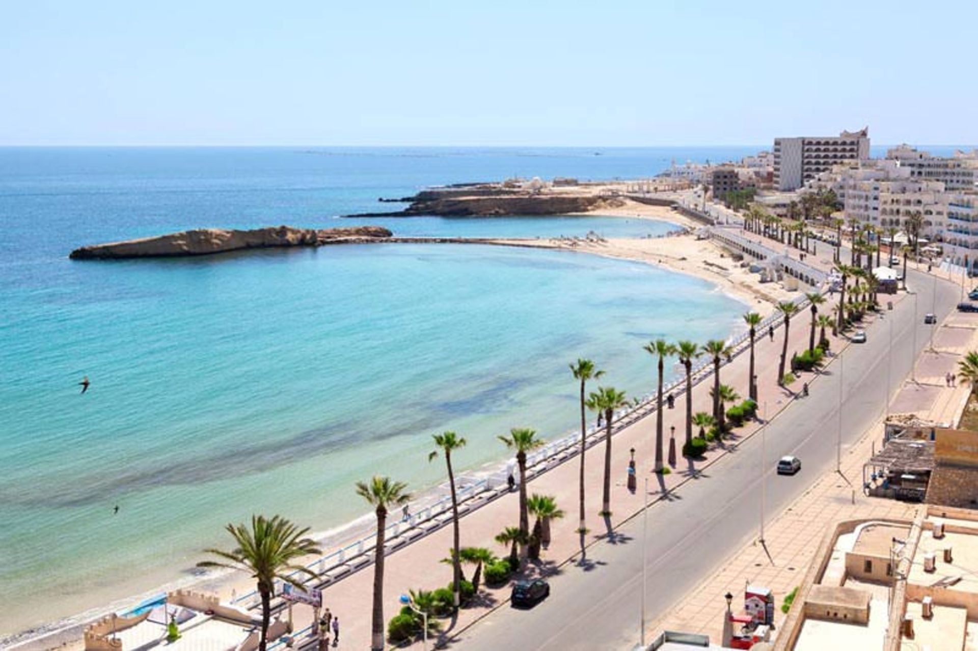 تونس