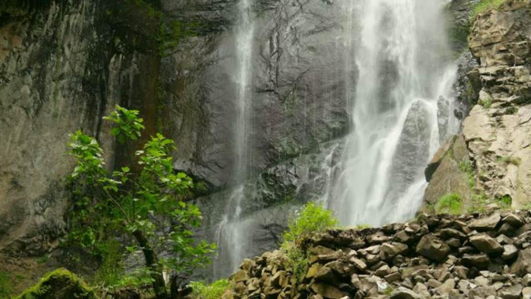 باتومی